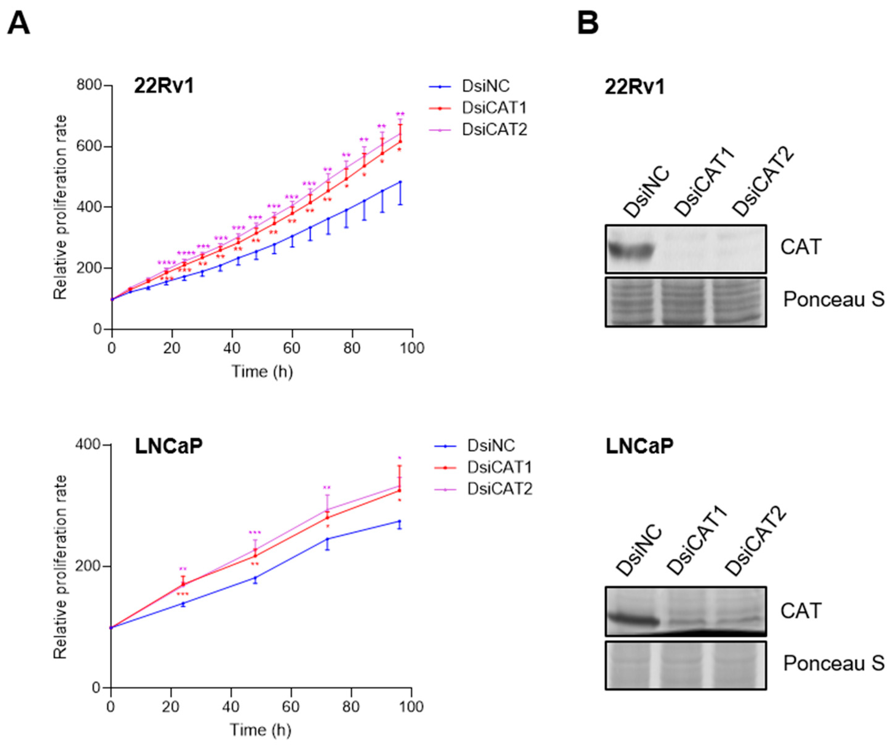 Antioxidants 13 01340 g008