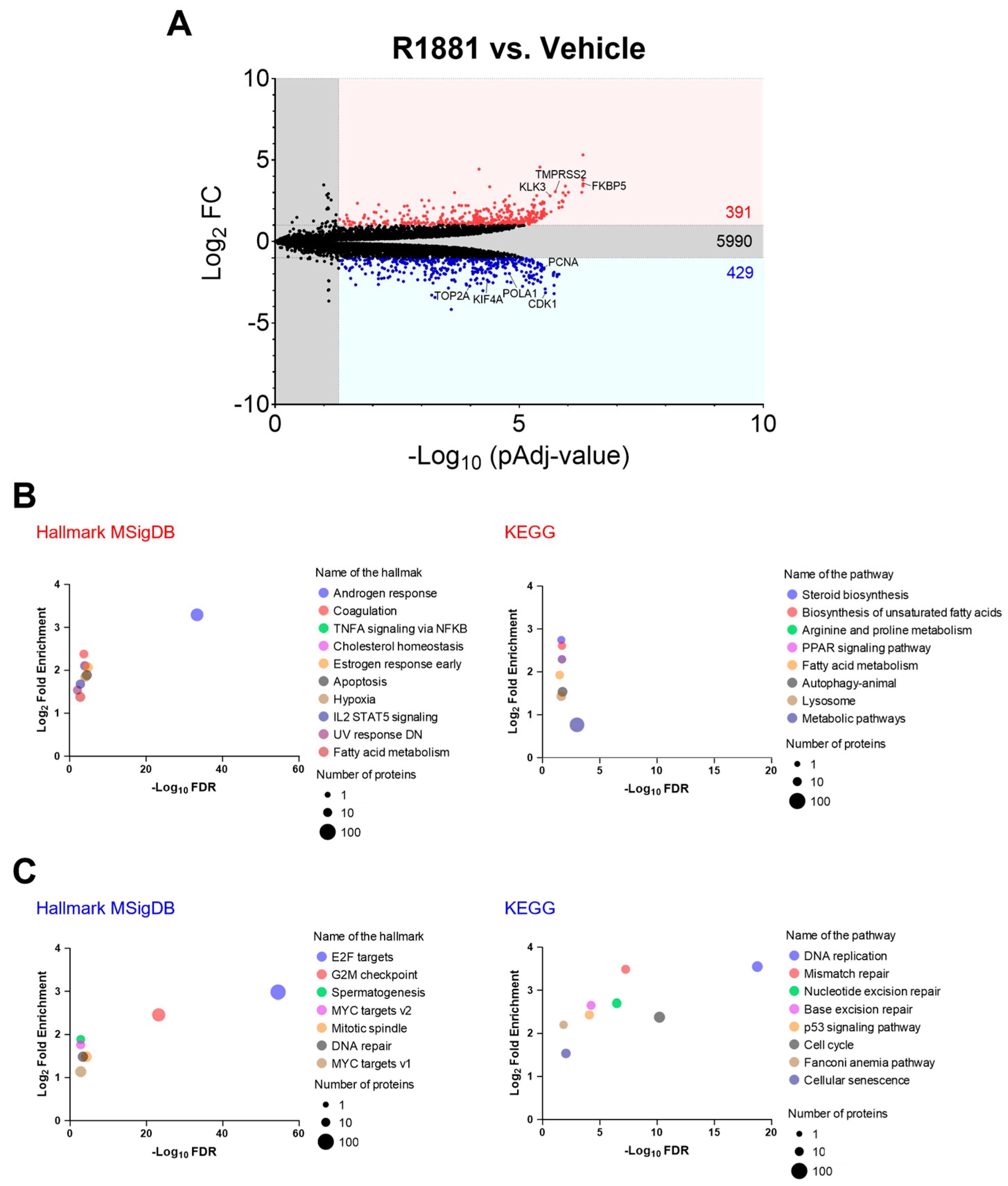 Antioxidants 13 01340 g010