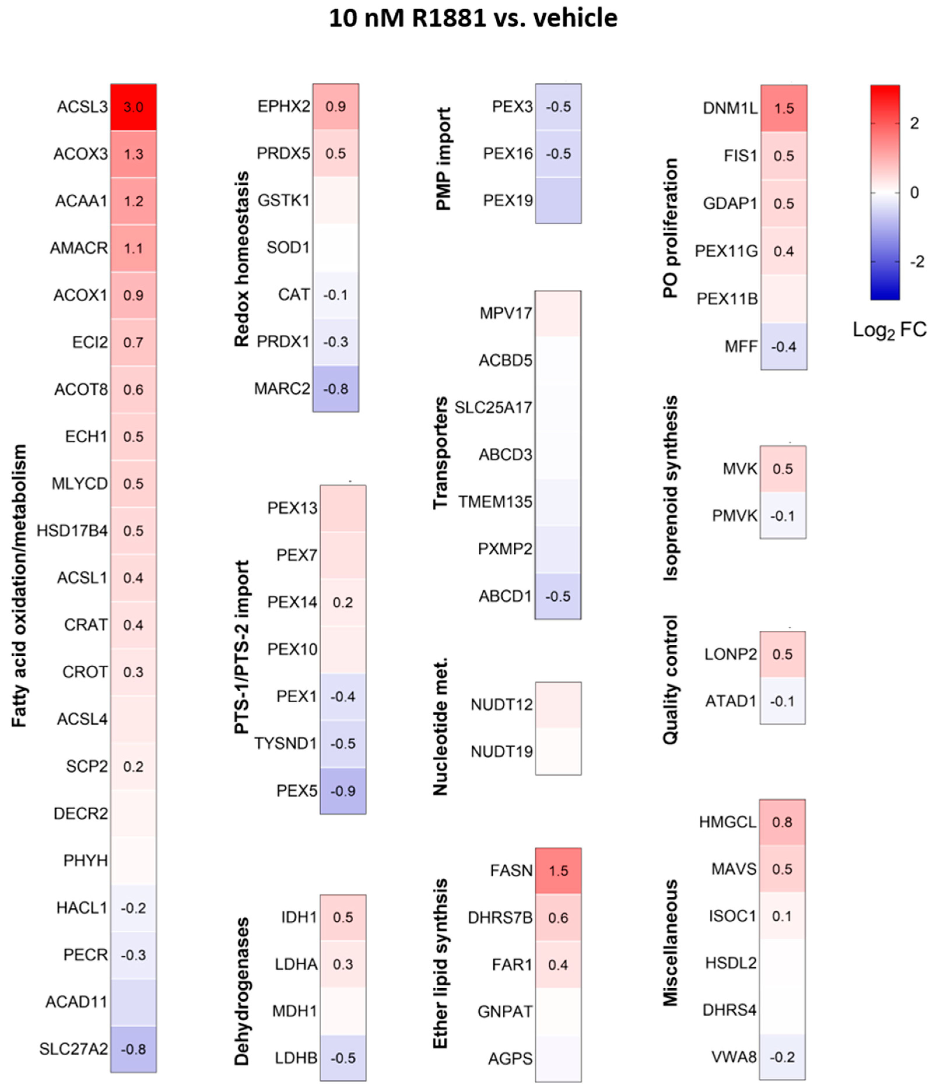 Antioxidants 13 01340 g011