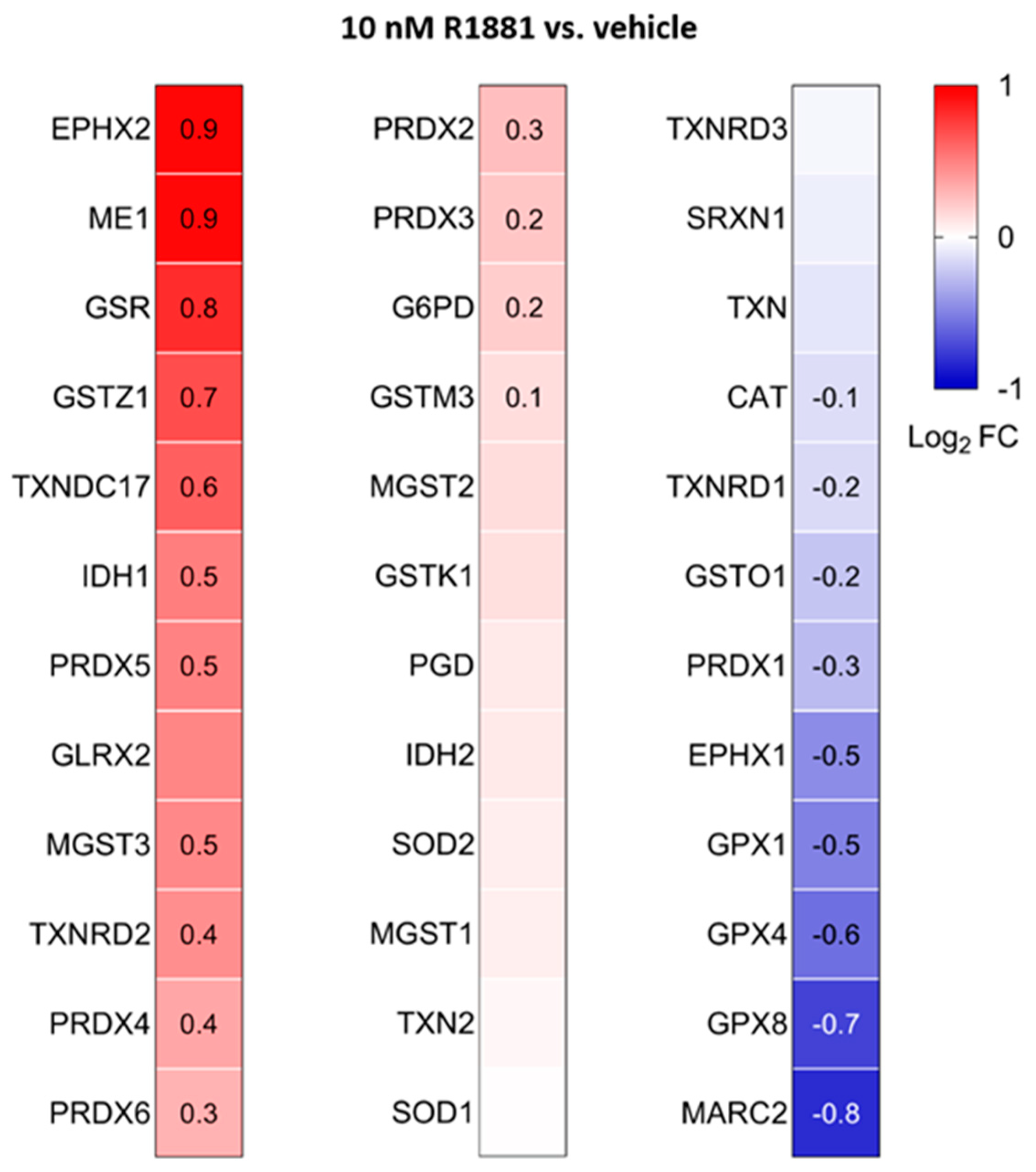 Antioxidants 13 01340 g013