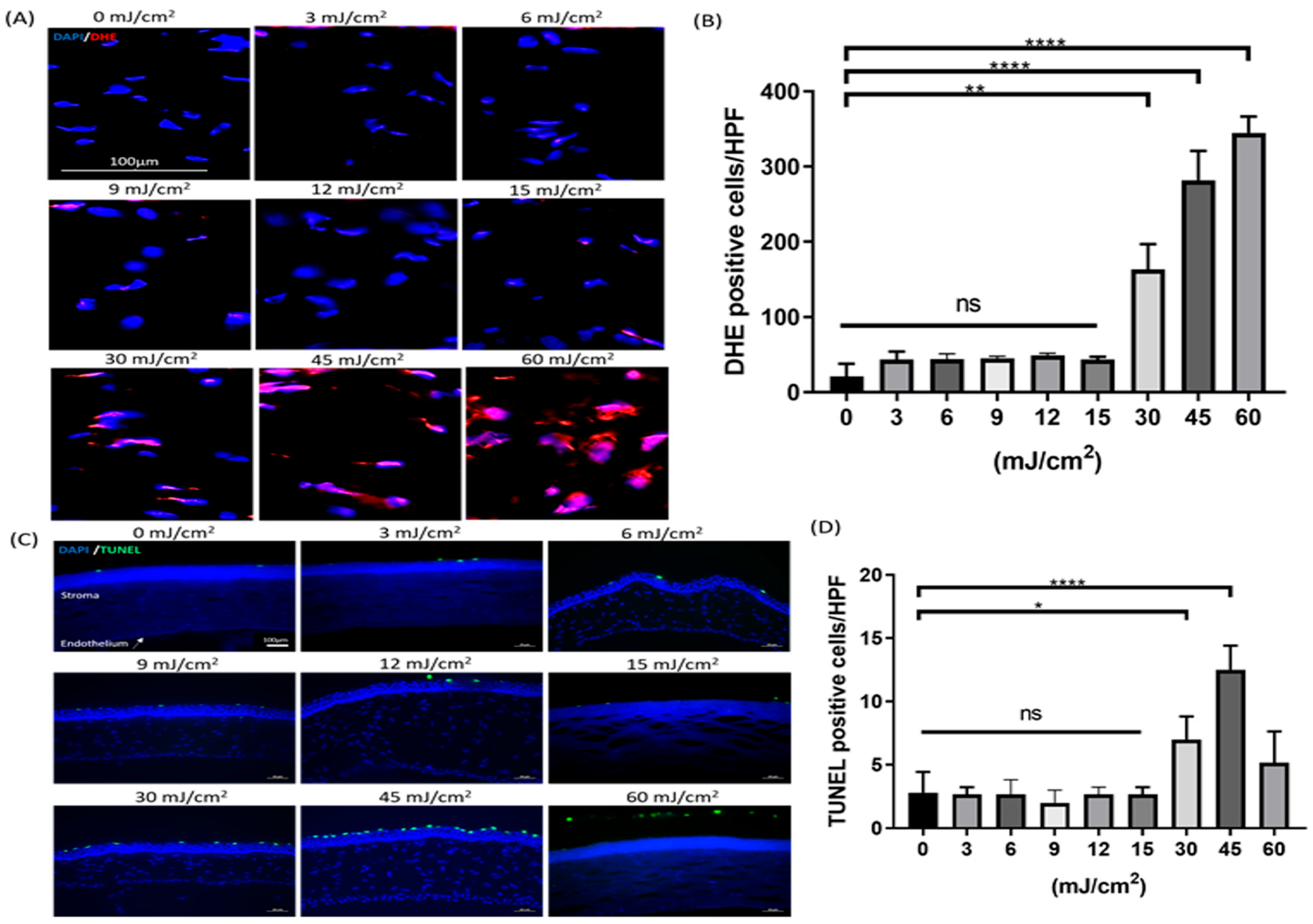 Antioxidants 13 01344 g002