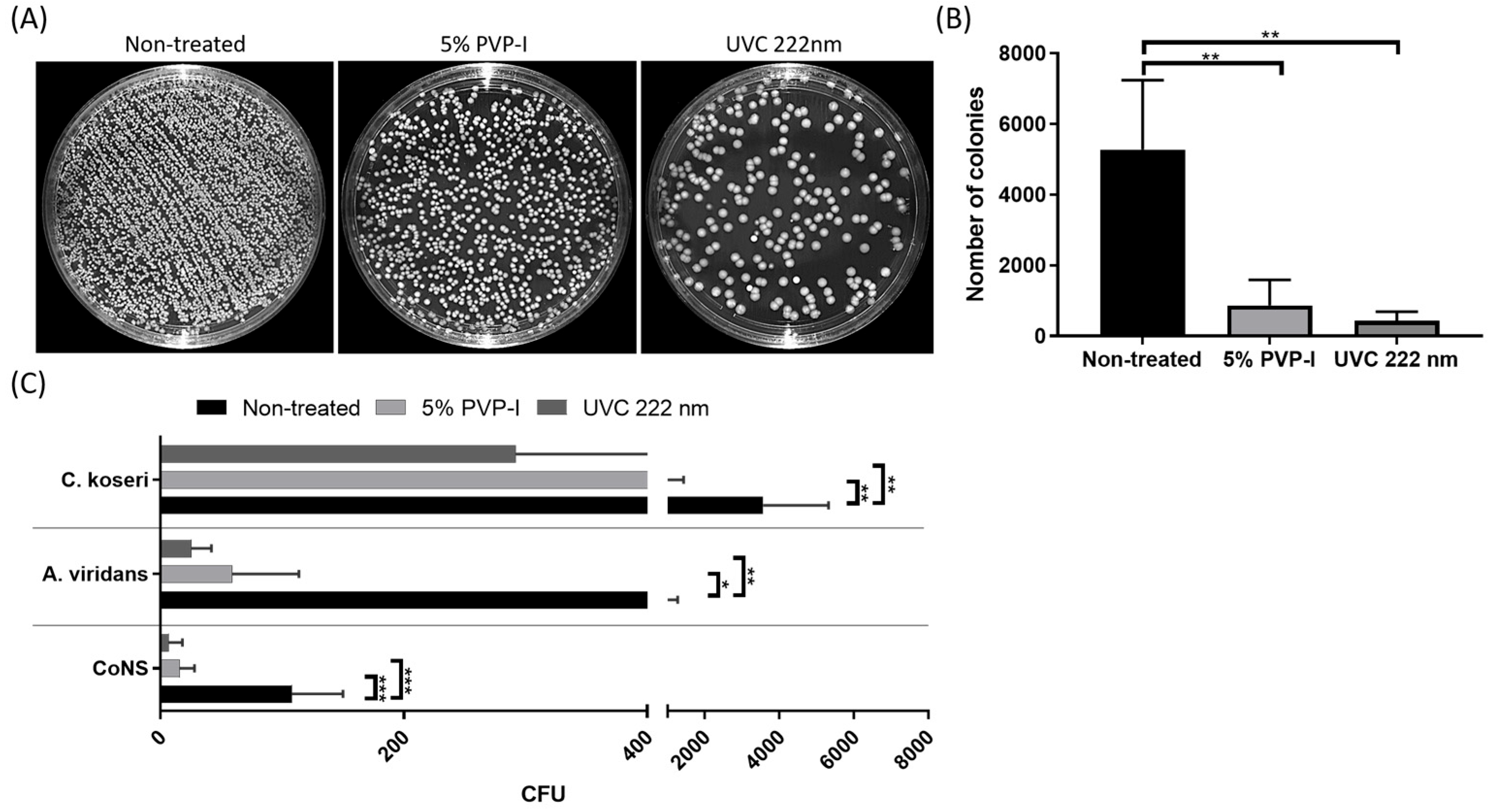 Antioxidants 13 01344 g004