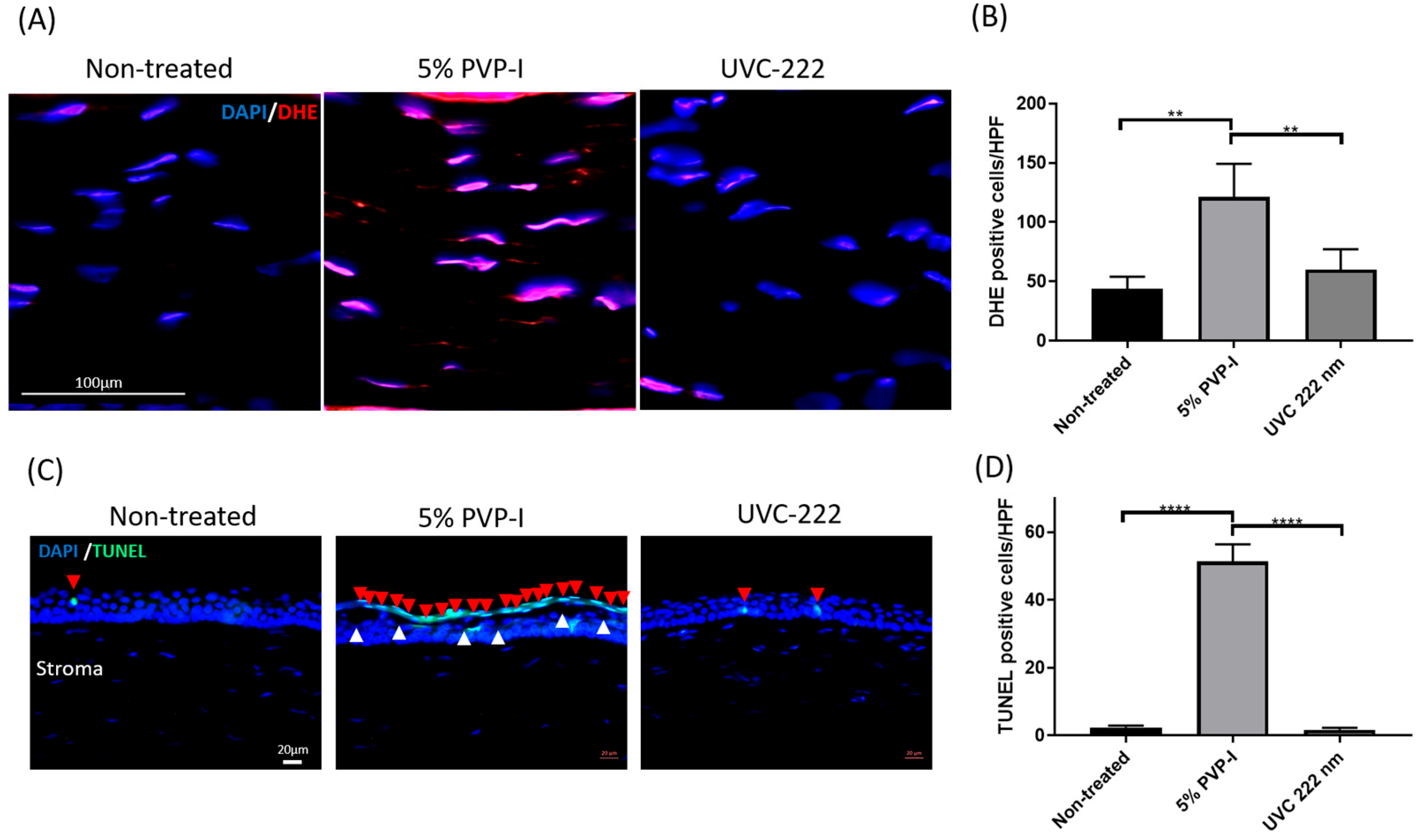 Antioxidants 13 01344 g005