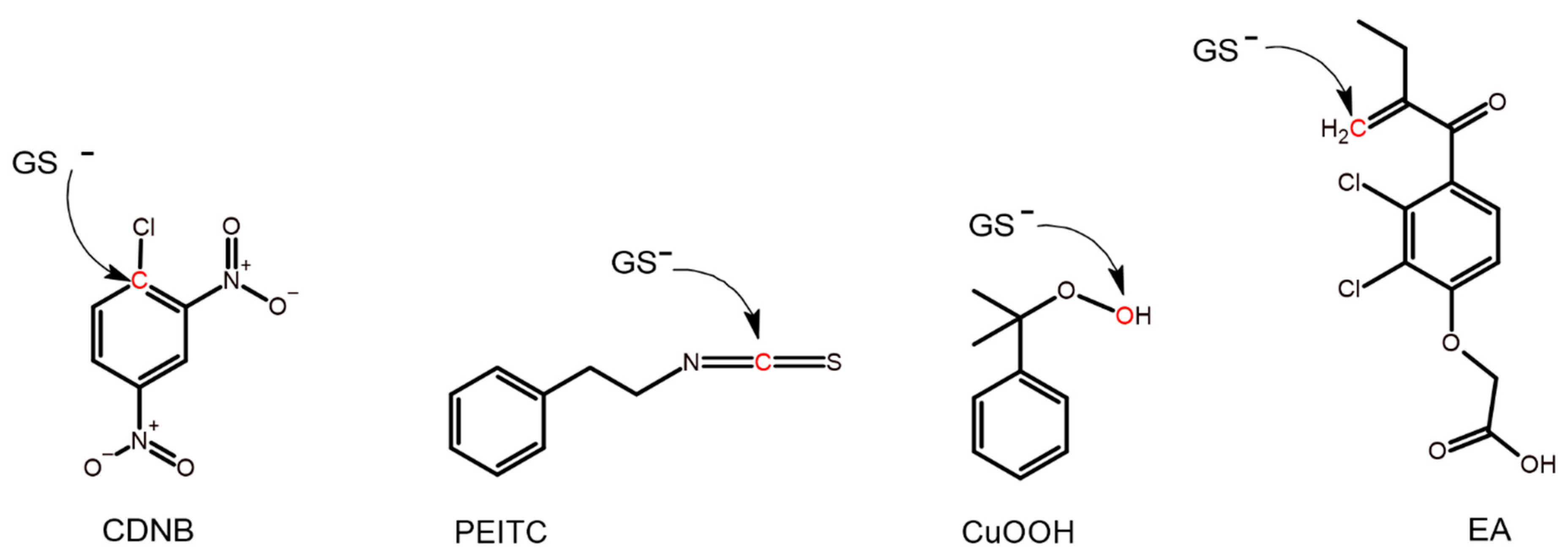 Antioxidants 13 01347 g001 Antioxidants 13 01347 g001