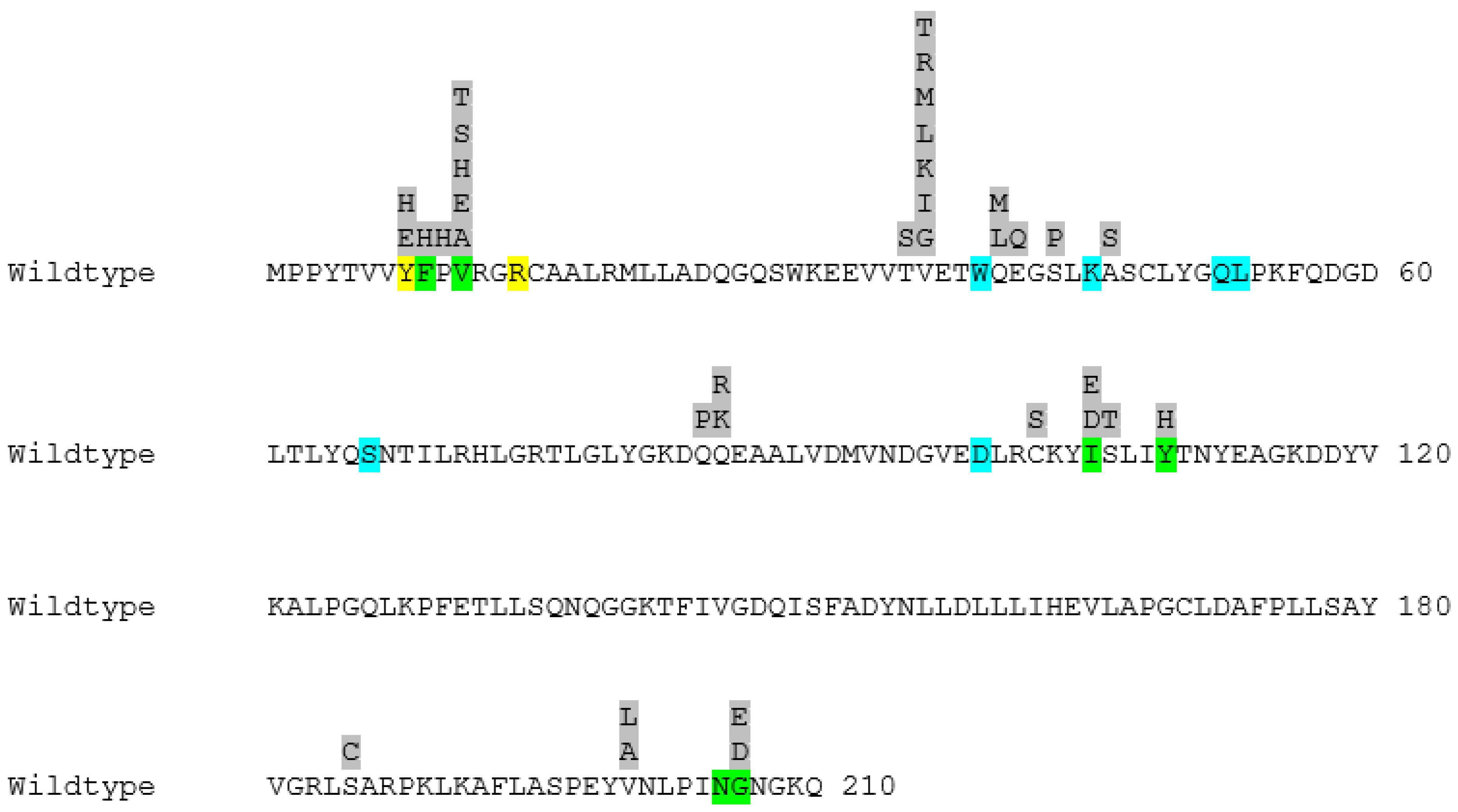 Antioxidants 13 01347 g002 Antioxidants 13 01347 g002