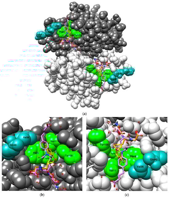 Antioxidants 13 01347 g005