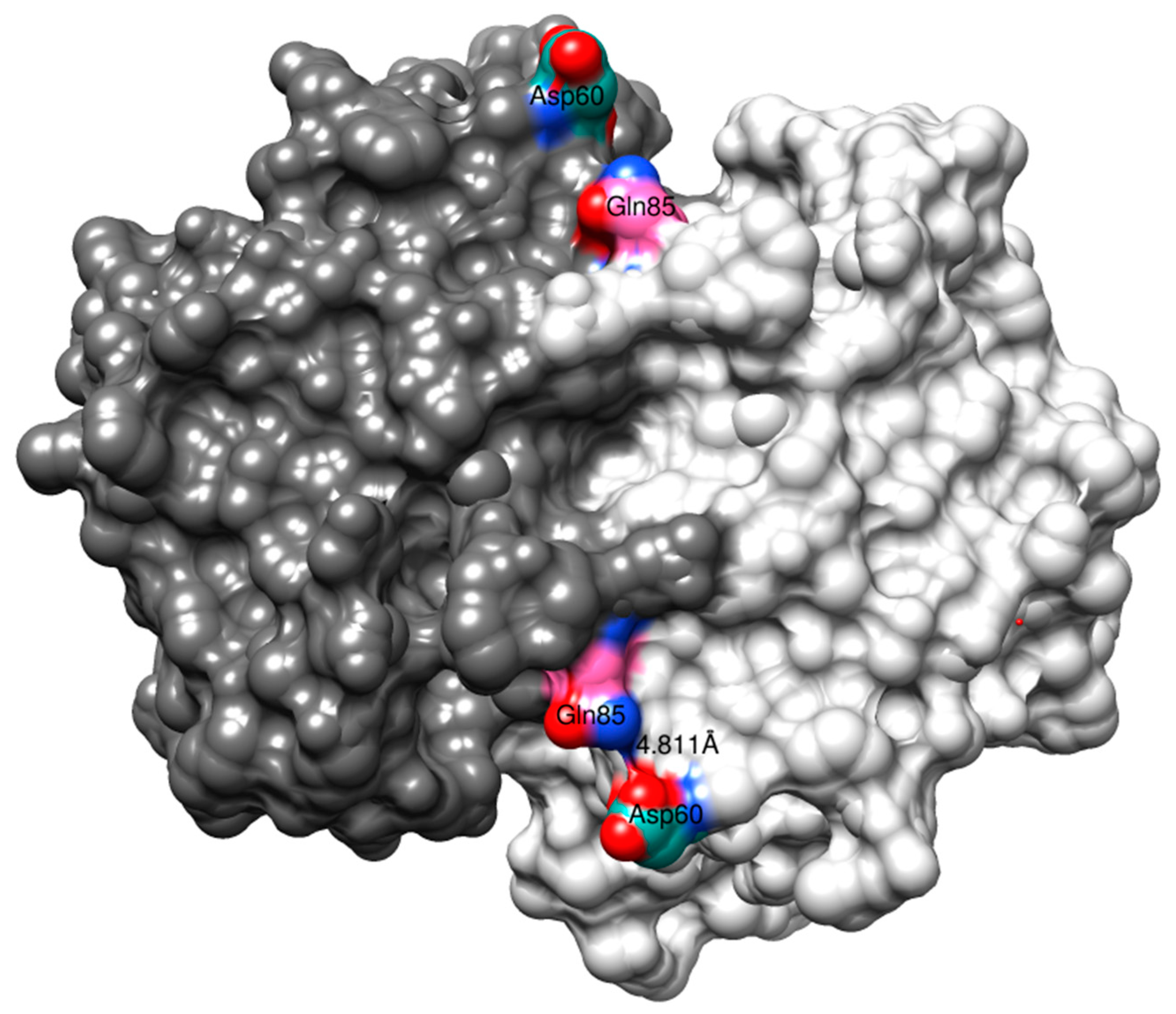Antioxidants 13 01347 g006 Antioxidants 13 01347 g006