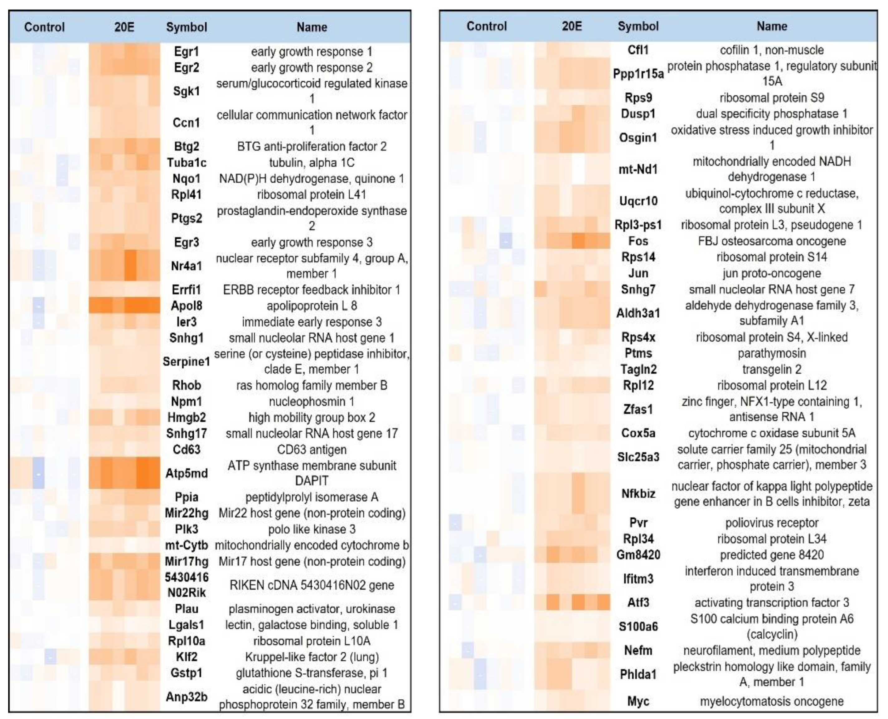 Antioxidants 13 01349 g001