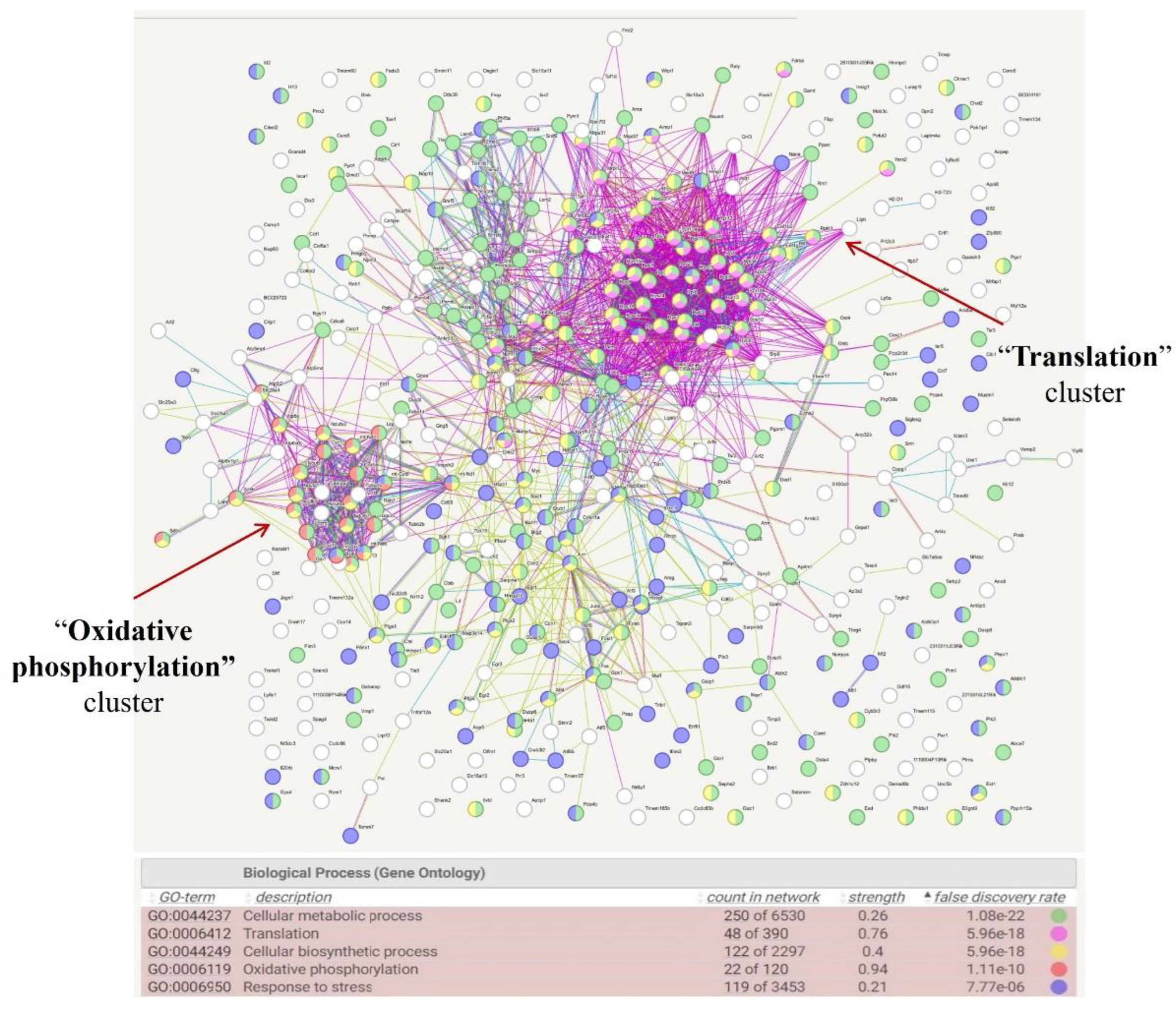 Antioxidants 13 01349 g002