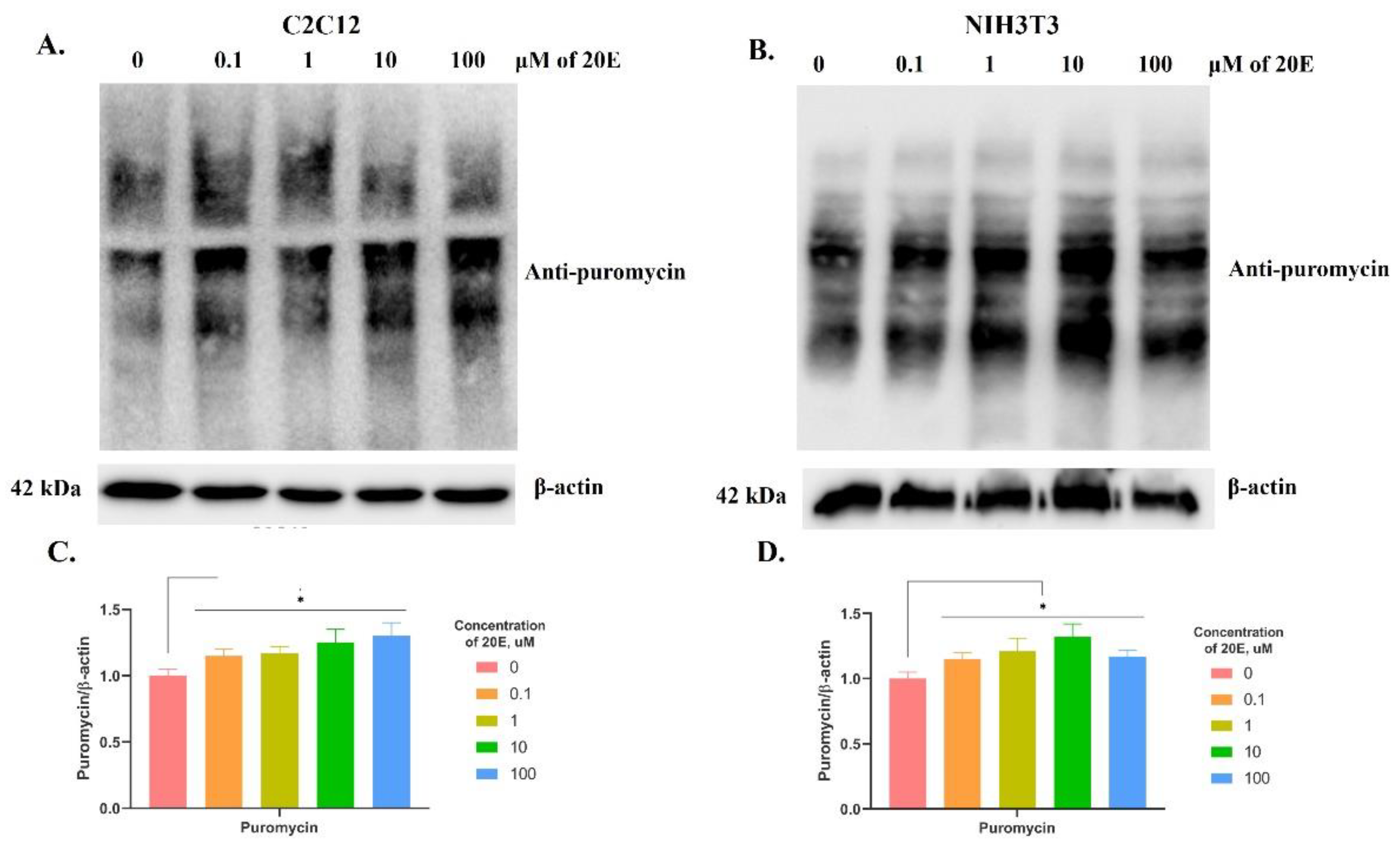 Antioxidants 13 01349 g008