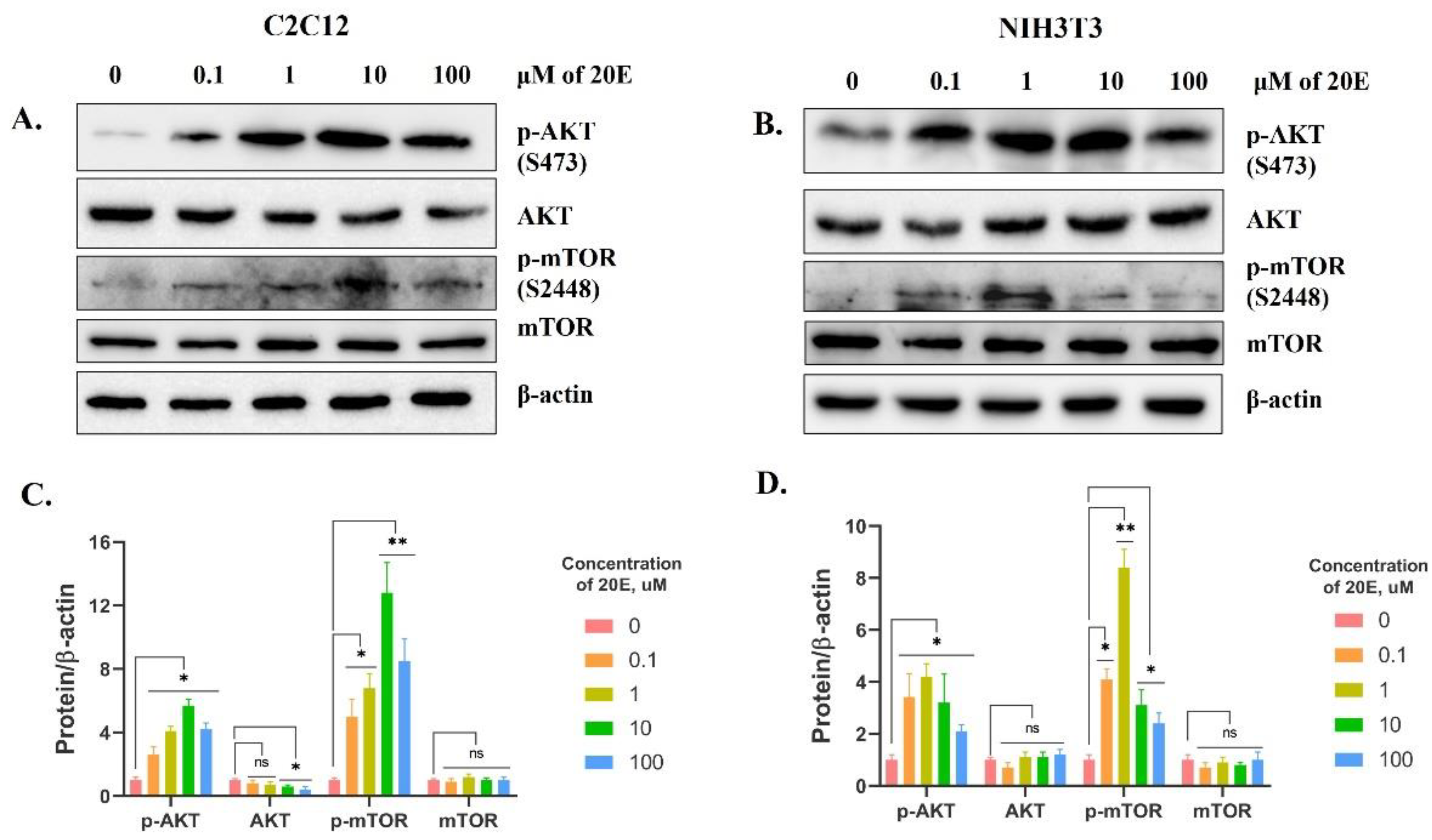 Antioxidants 13 01349 g009