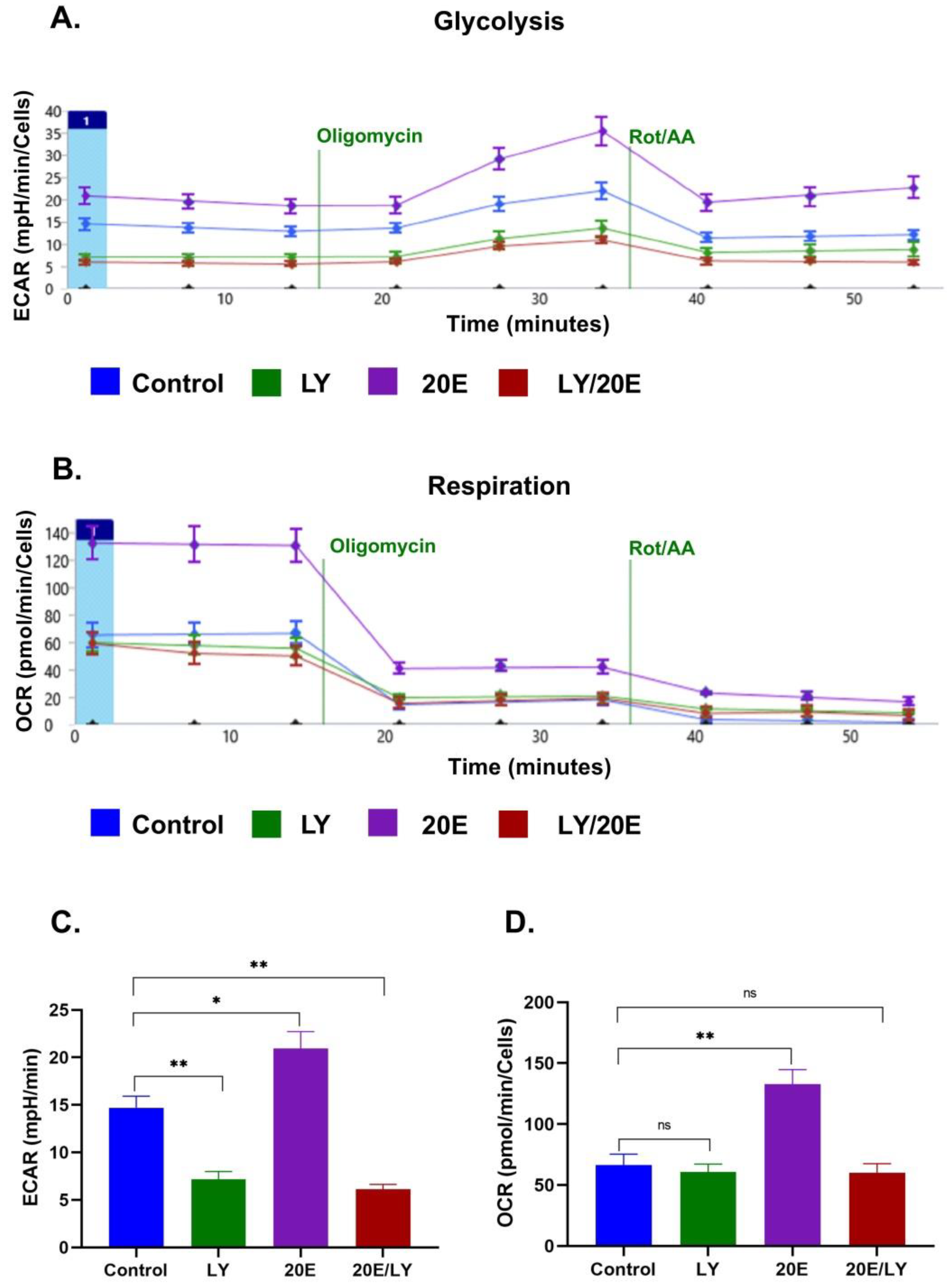 Antioxidants 13 01349 g011