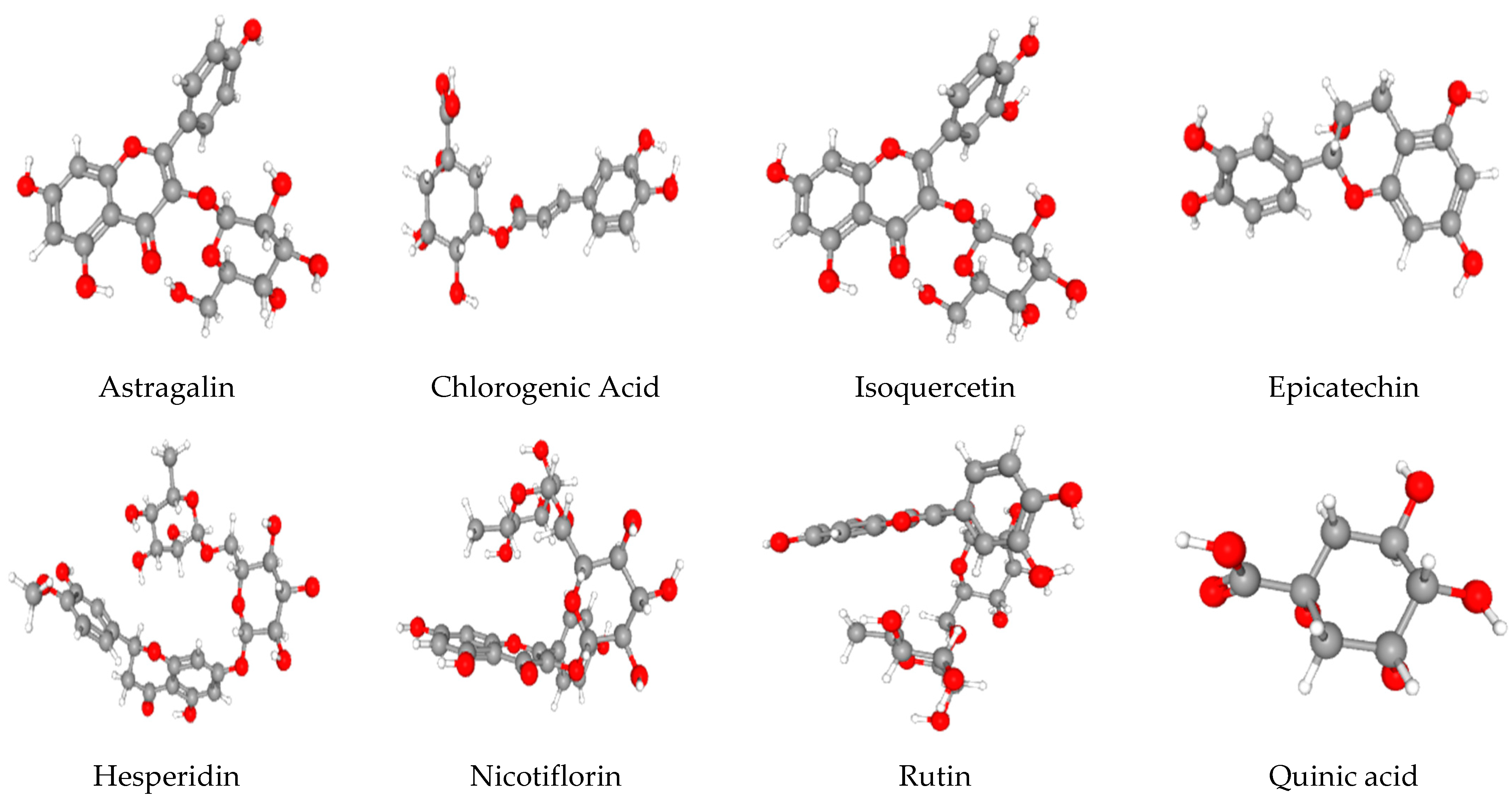 Antioxidants 13 01350 g003 Antioxidants 13 01350 g003