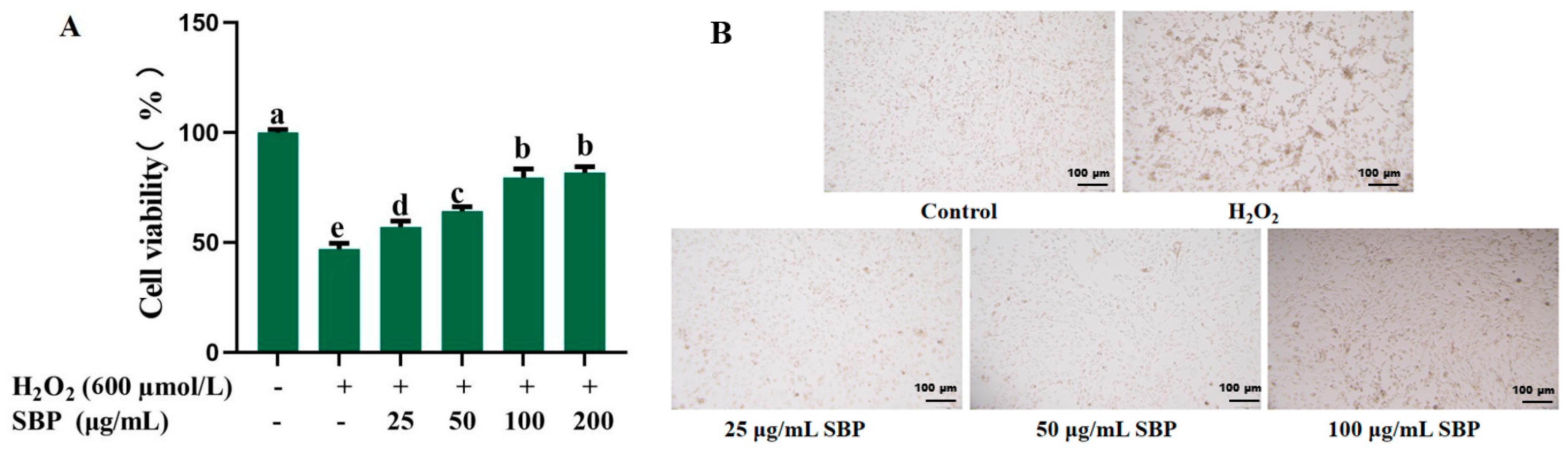 Antioxidants 13 01352 g002
