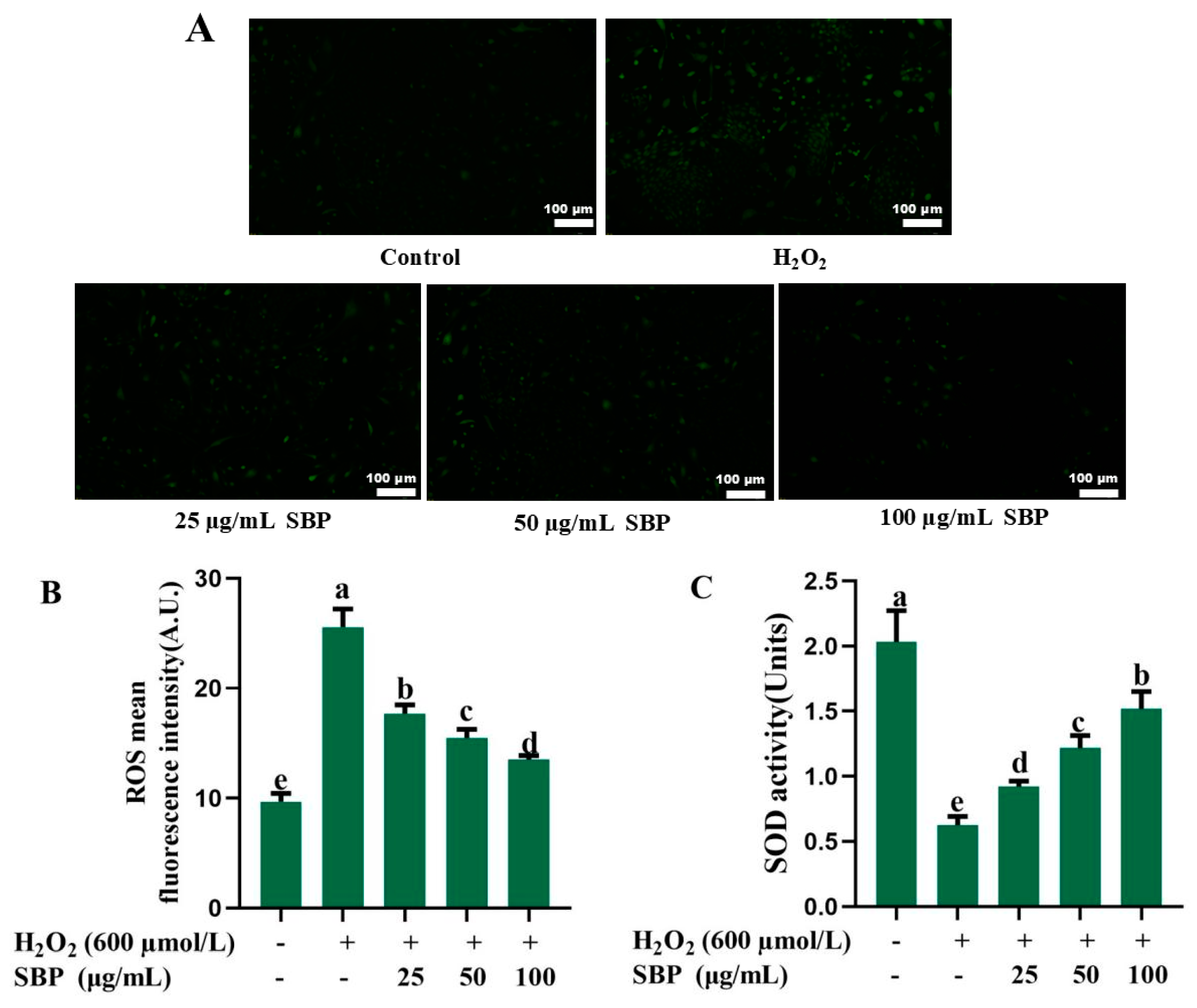 Antioxidants 13 01352 g003a