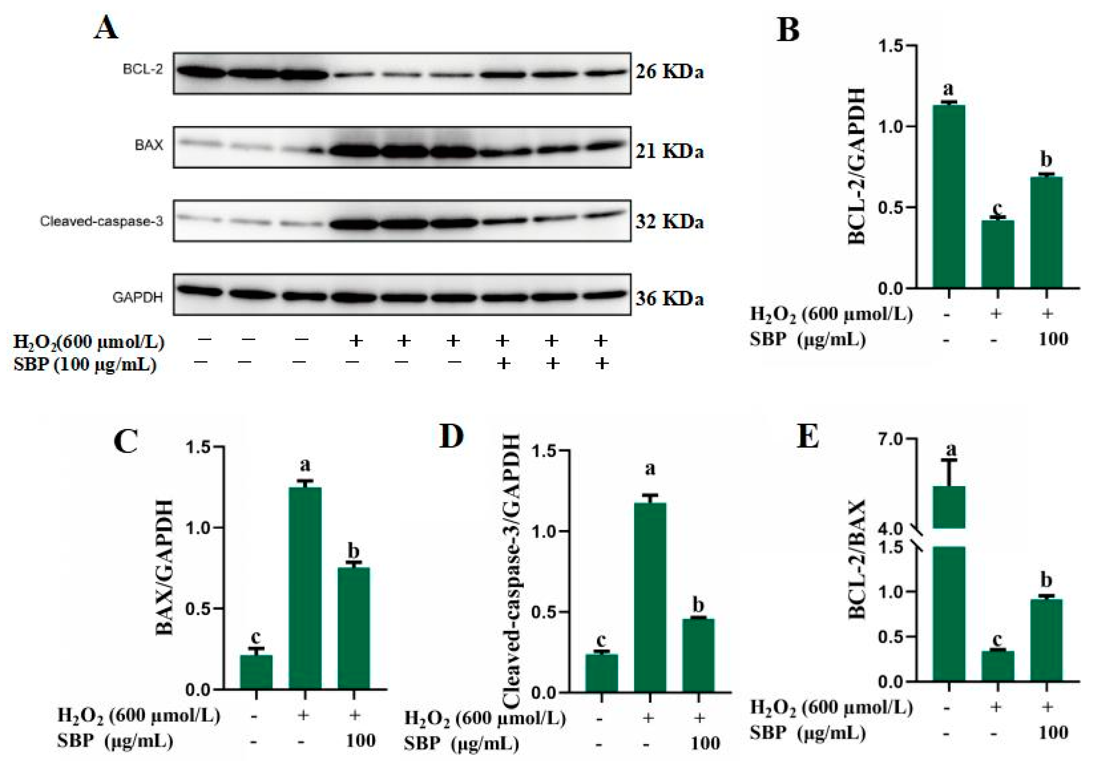 Antioxidants 13 01352 g005