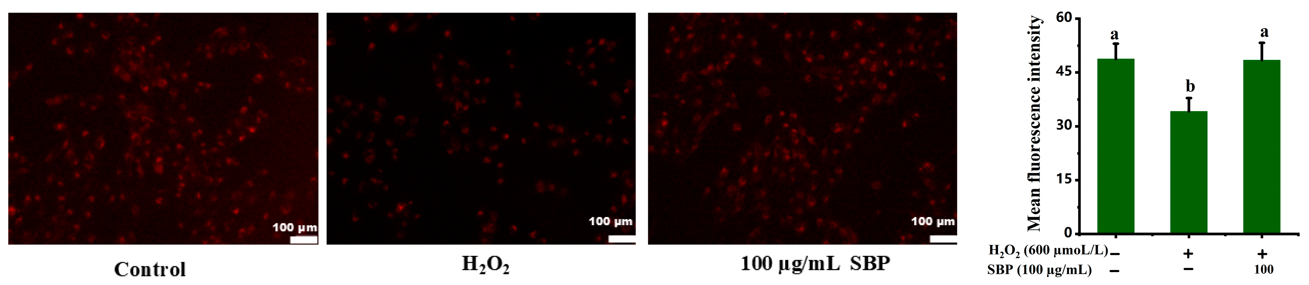 Antioxidants 13 01352 g008