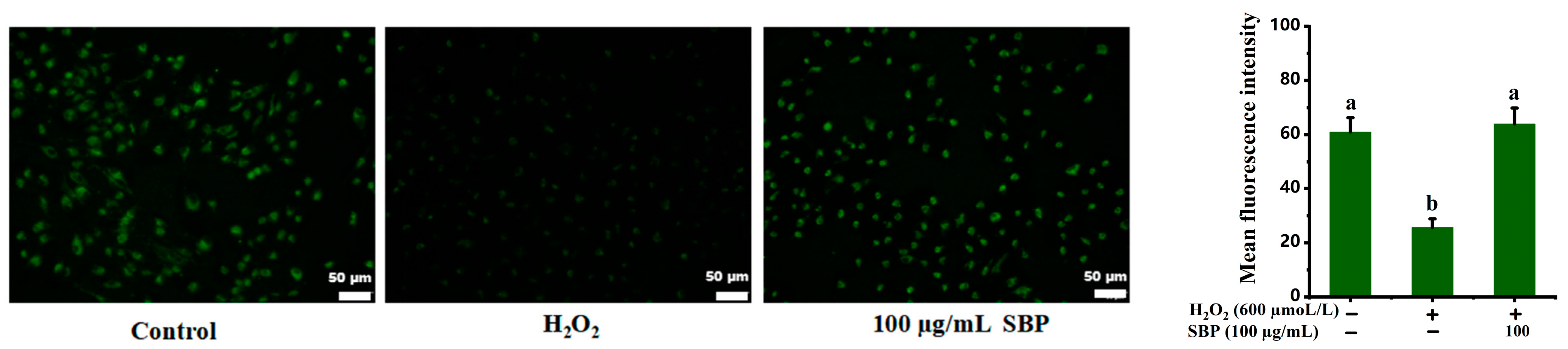 Antioxidants 13 01352 g009