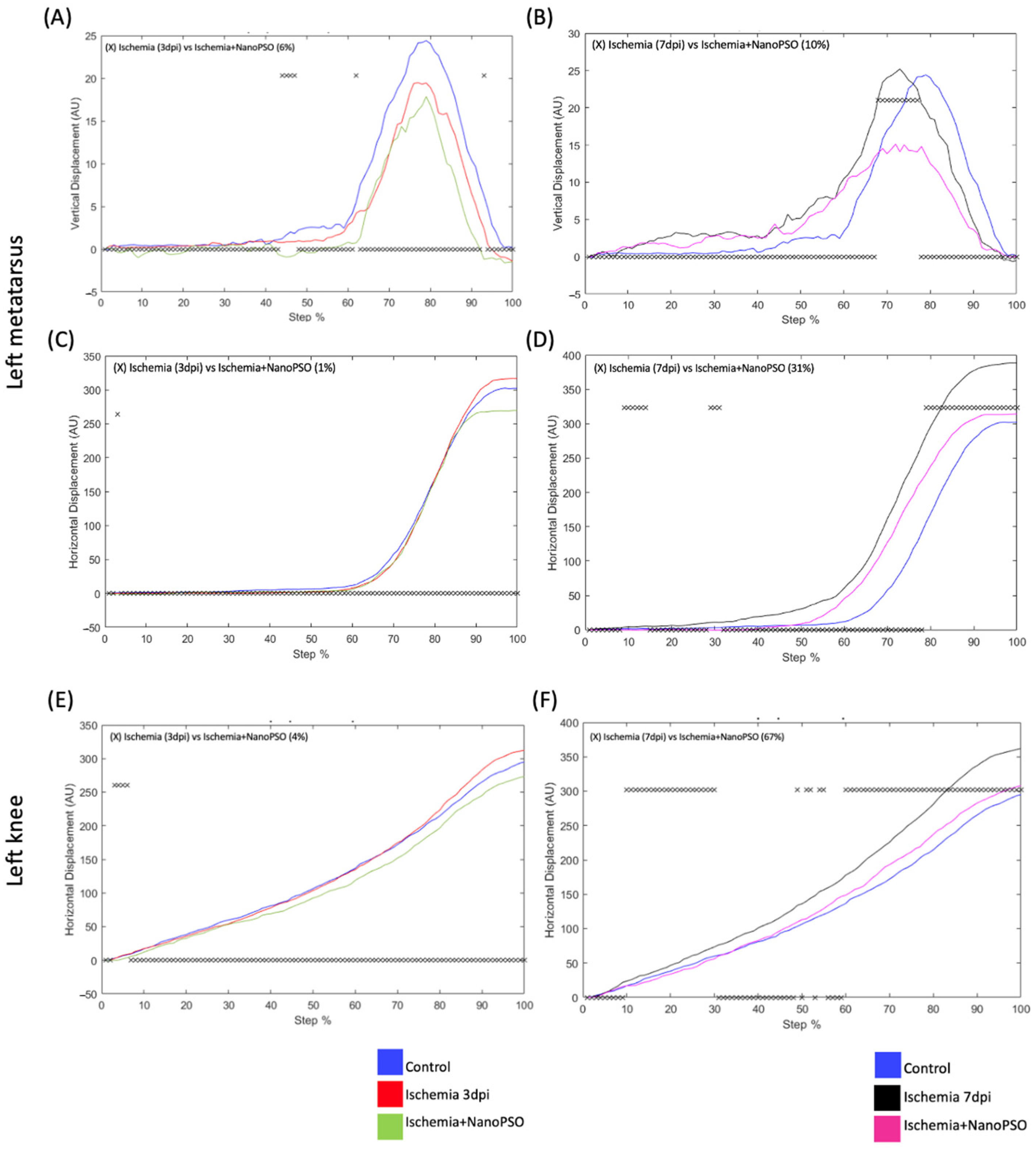 Antioxidants 13 01353 g002