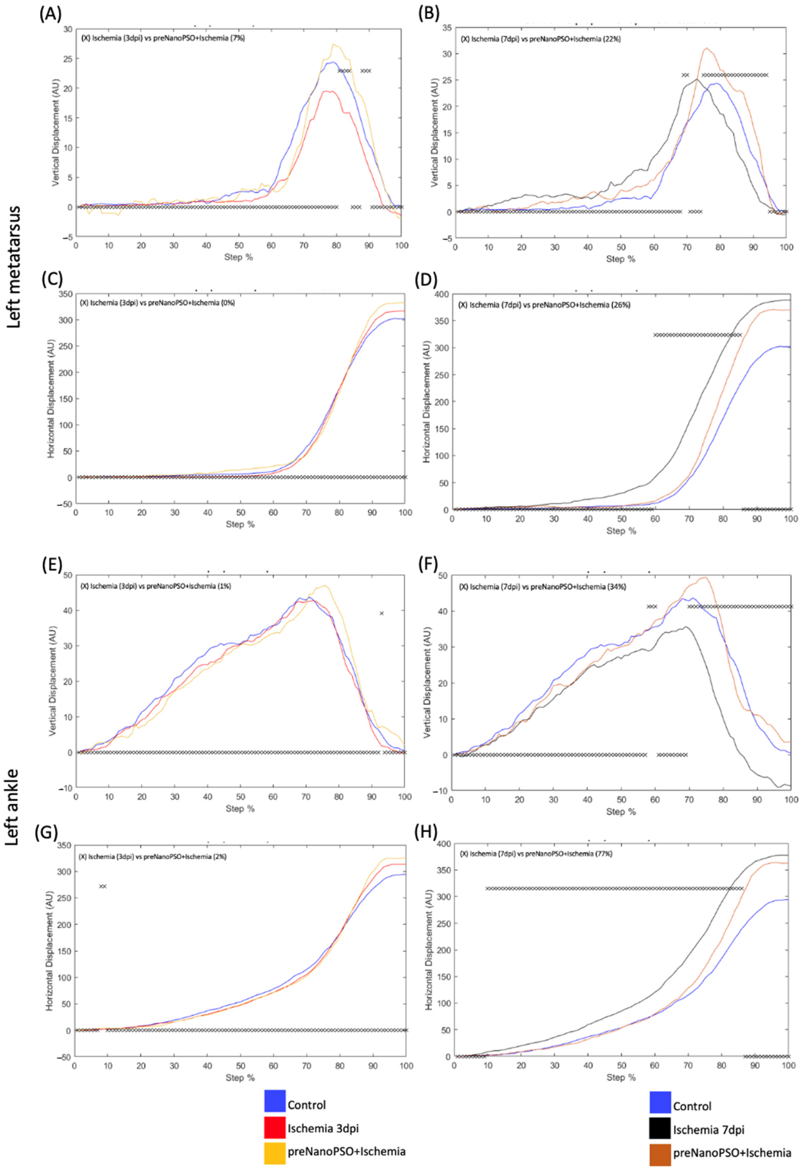 Antioxidants 13 01353 g003