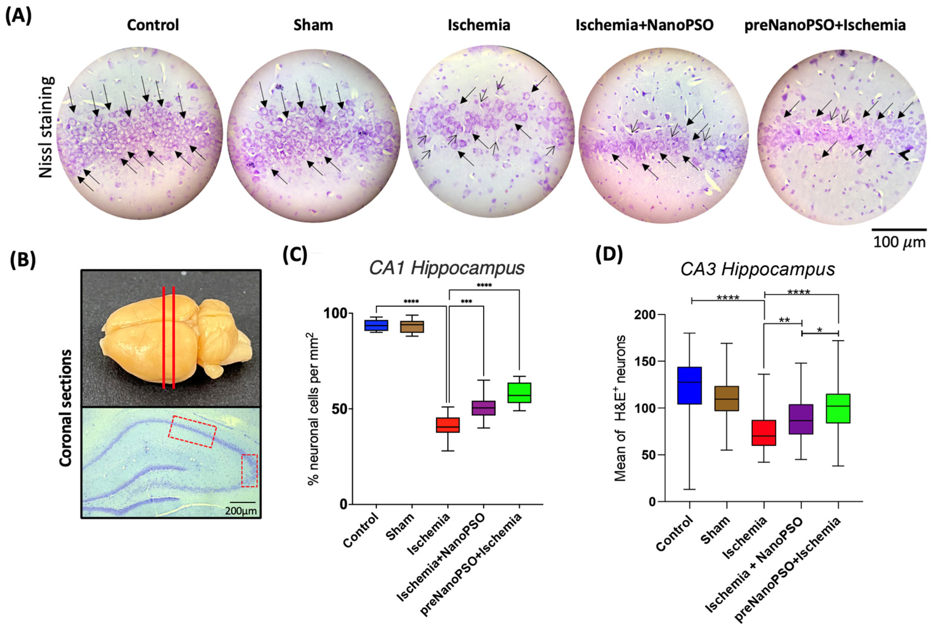 Antioxidants 13 01353 g007