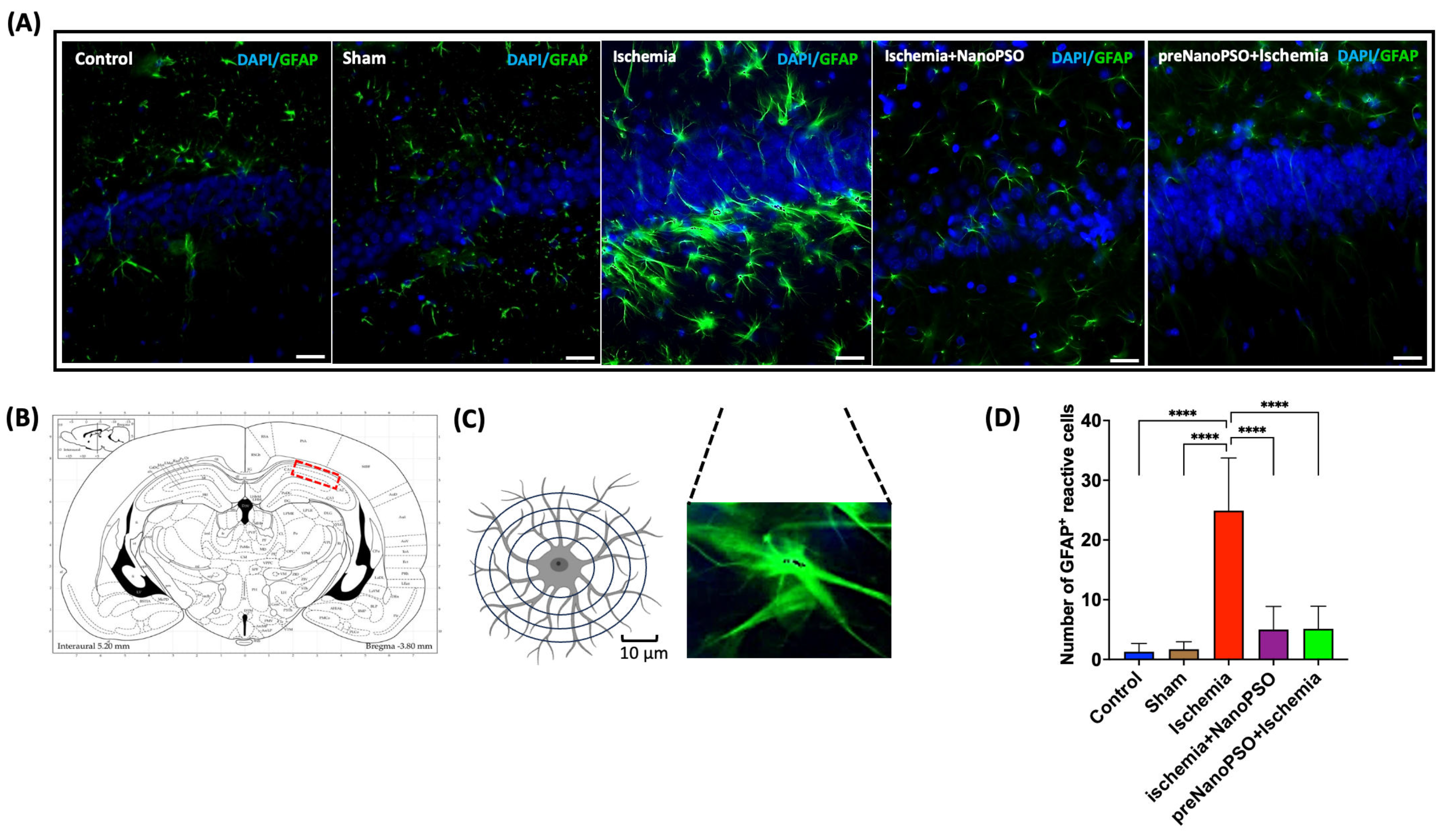 Antioxidants 13 01353 g008