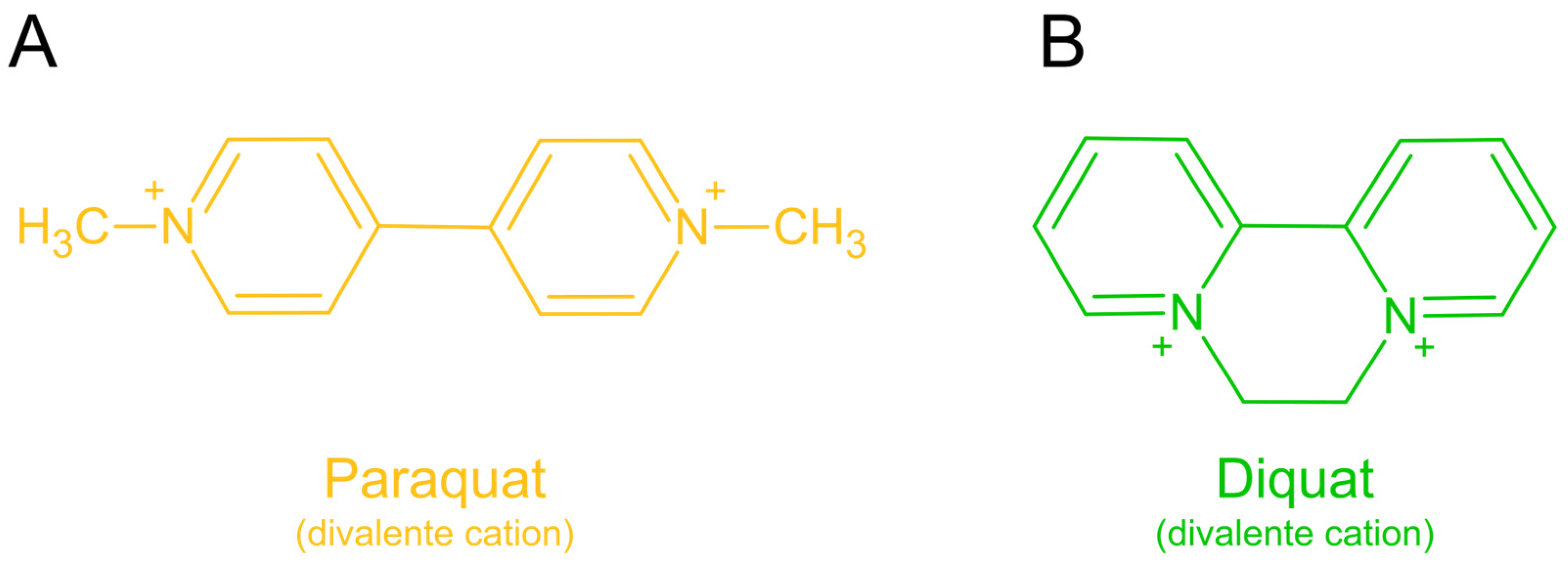 Antioxidants 13 01354 g001