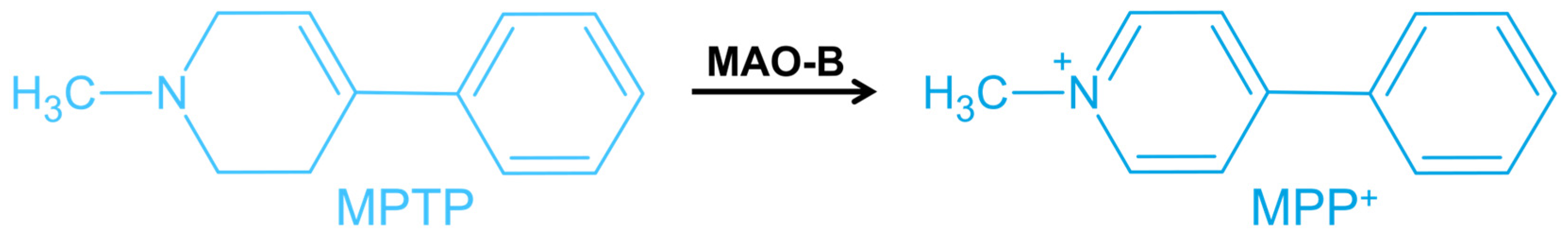 Antioxidants 13 01354 g002