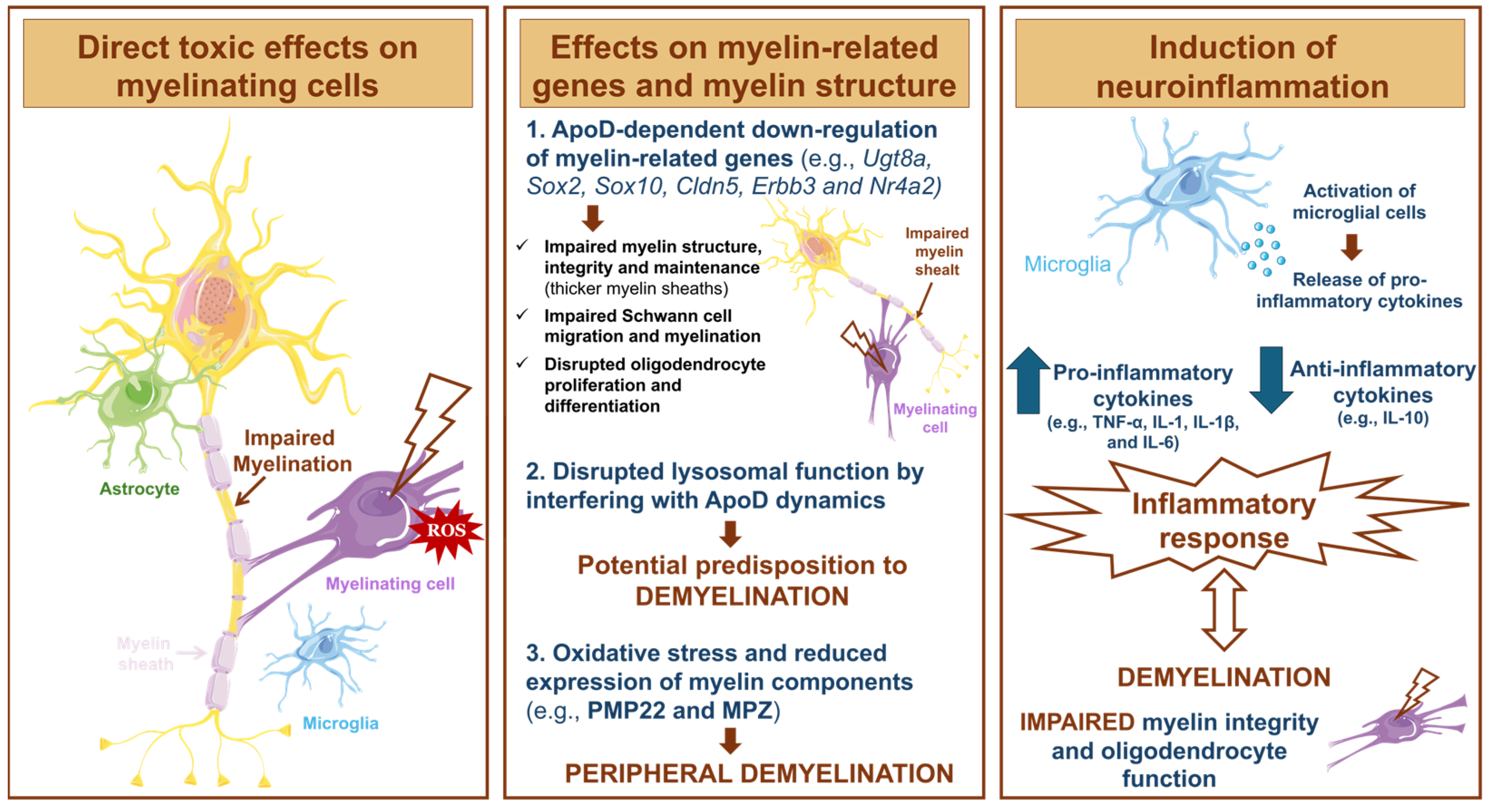 Antioxidants 13 01354 g007