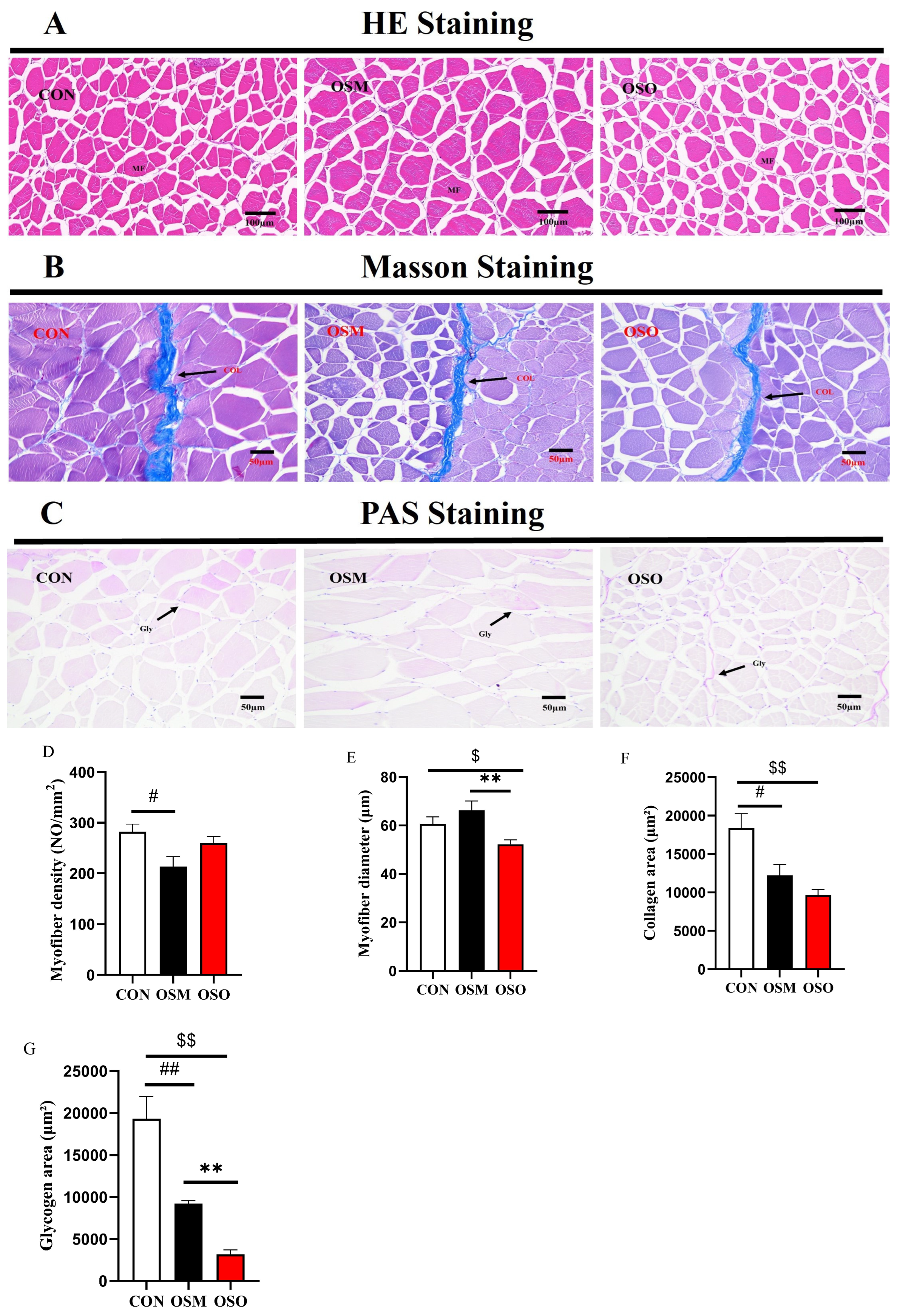 Antioxidants 13 01356 g004