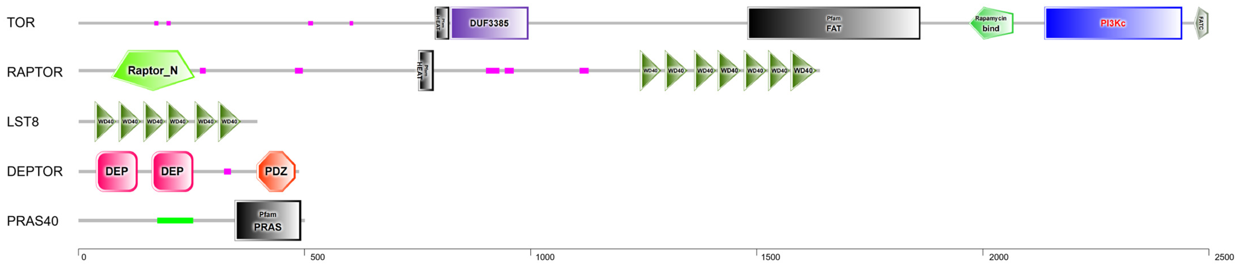 Antioxidants 13 01359 g002