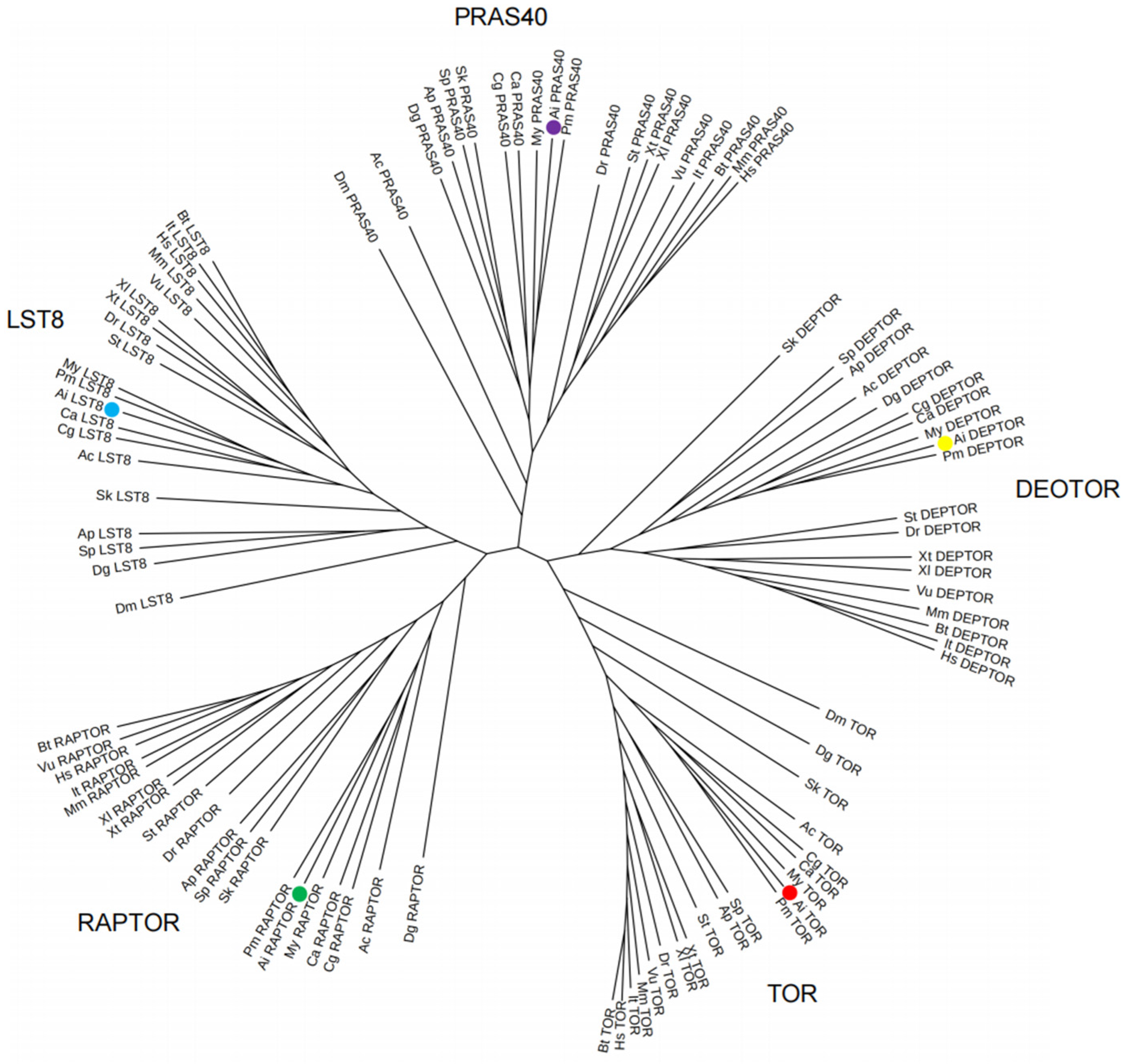 Antioxidants 13 01359 g005