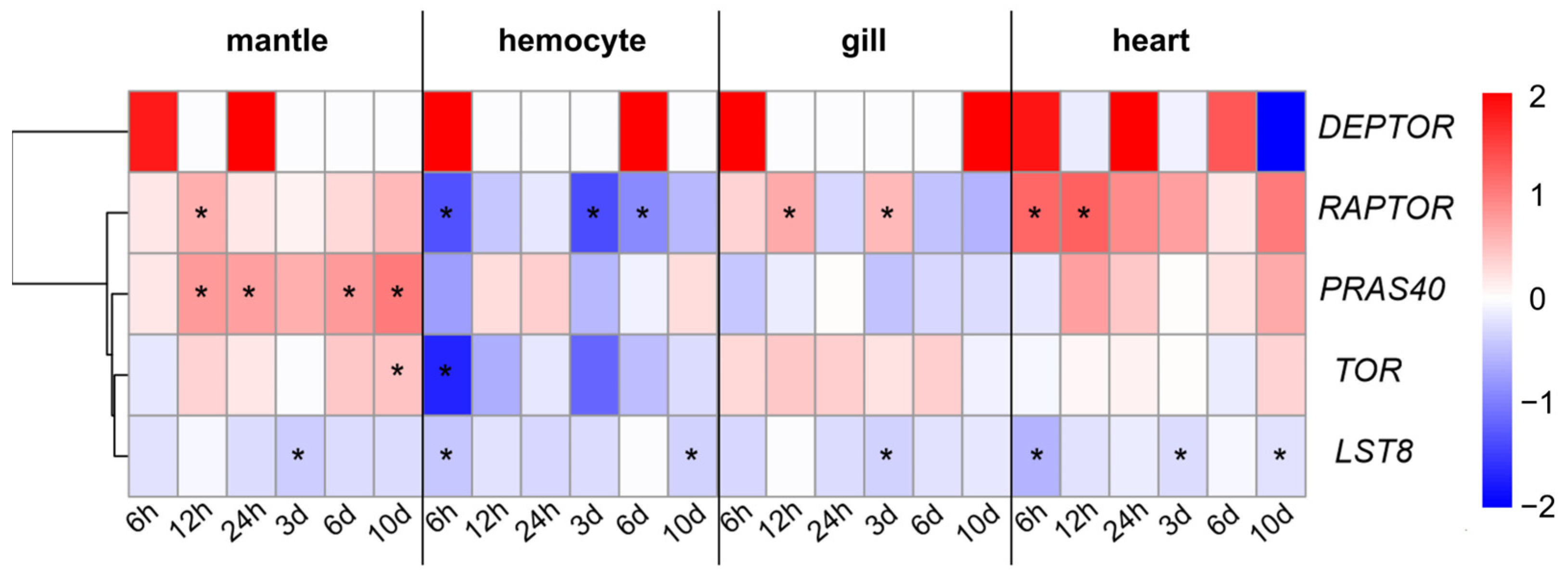 Antioxidants 13 01359 g007
