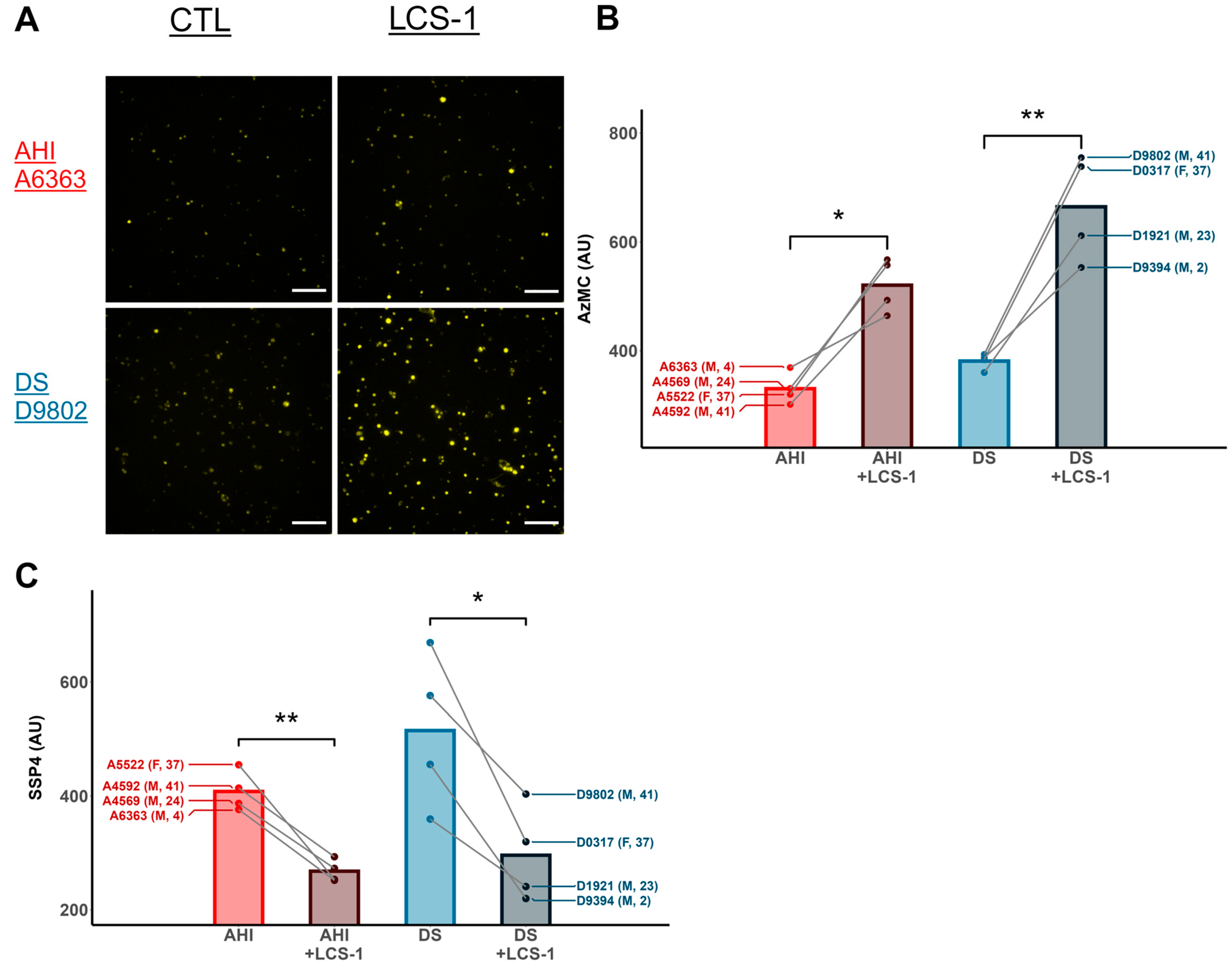 Antioxidants 13 01361 g003