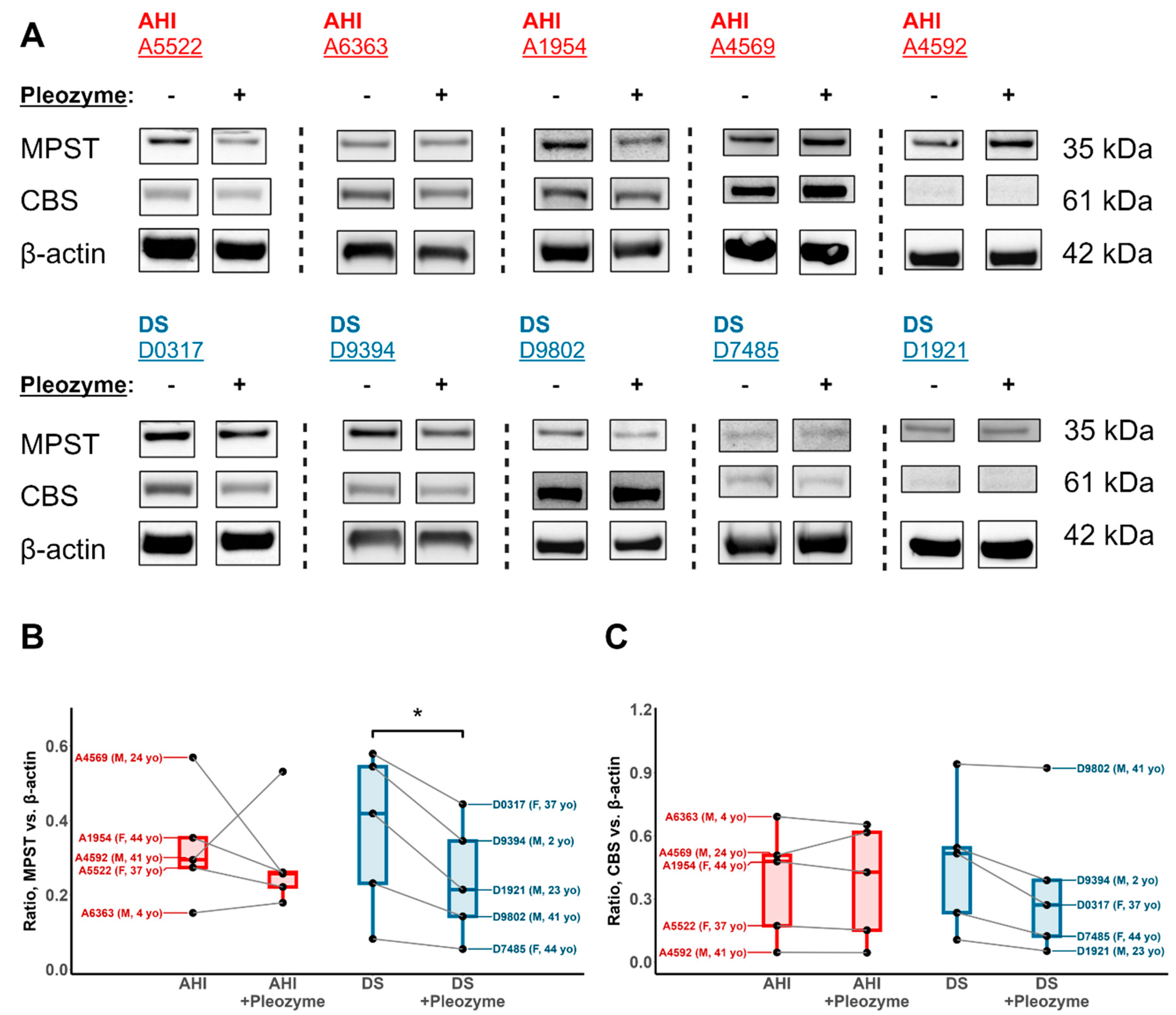 Antioxidants 13 01361 g008