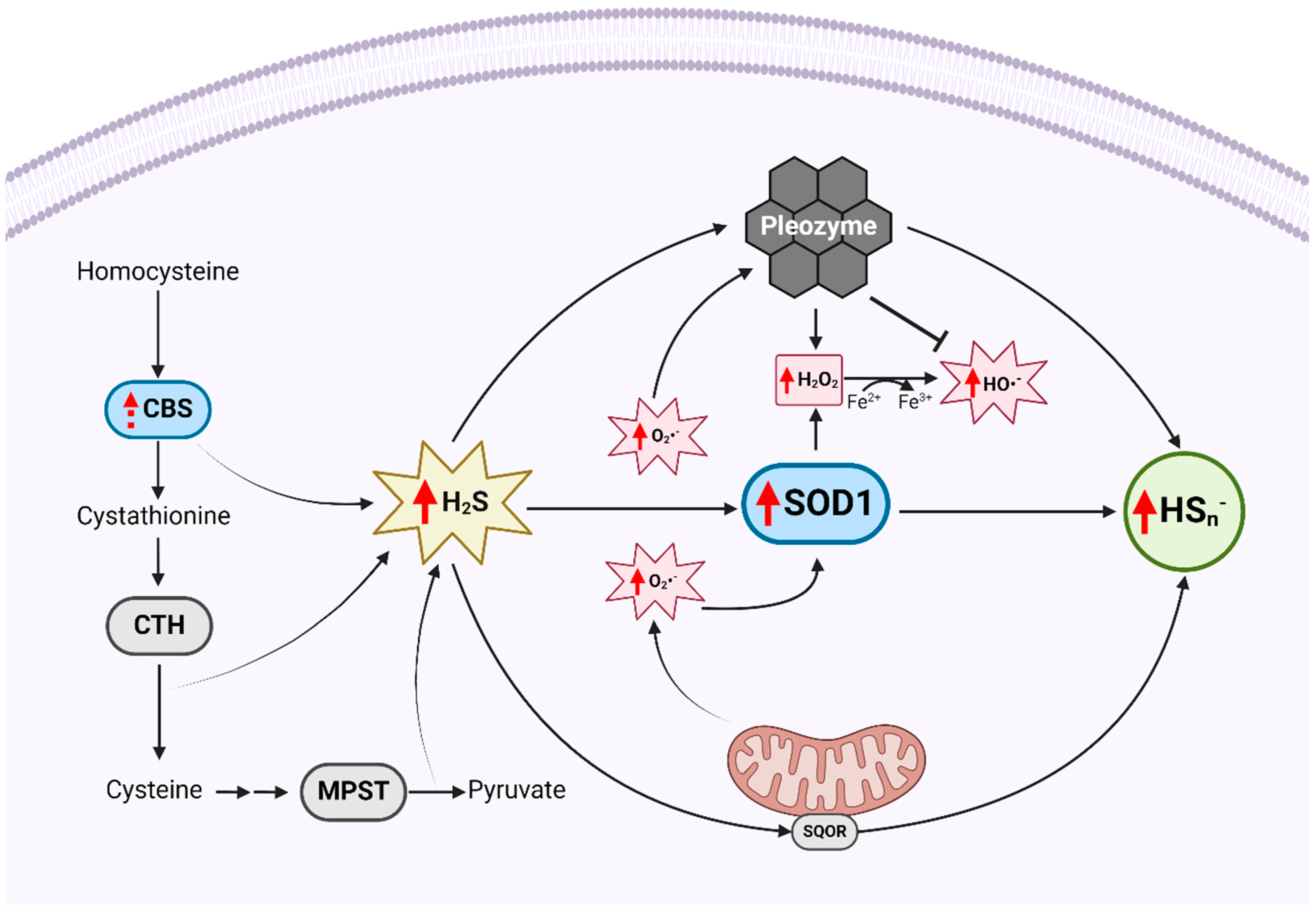 Antioxidants 13 01361 g009