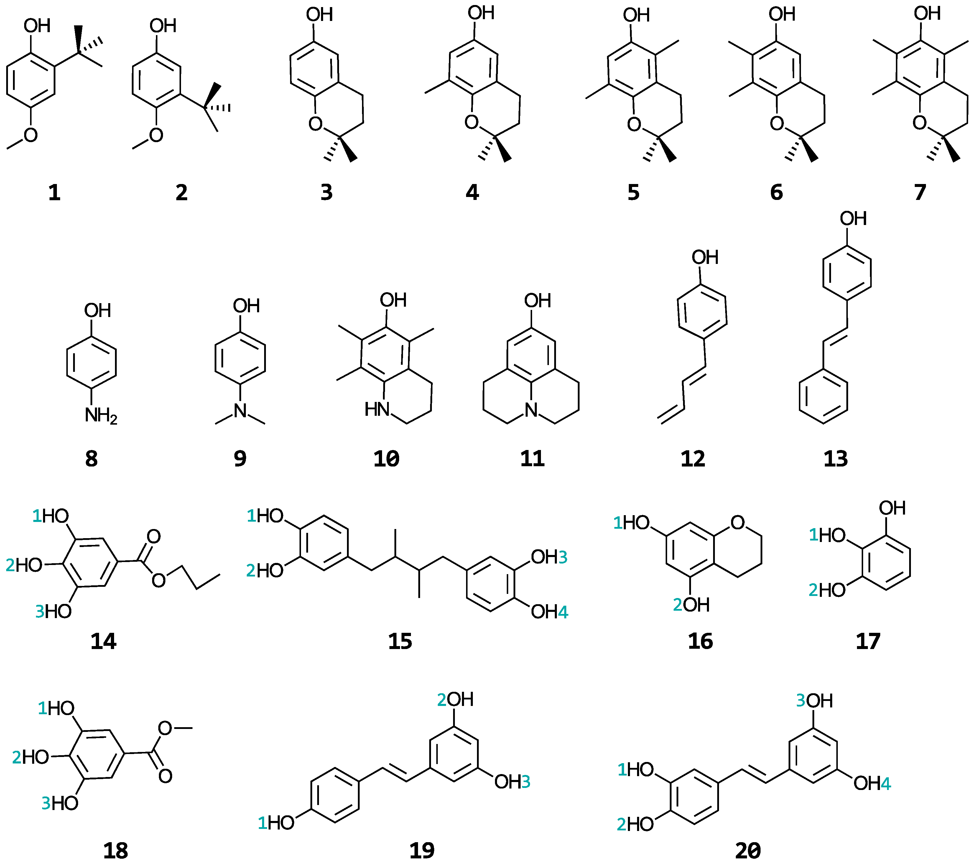 Antioxidants 13 01368 g002