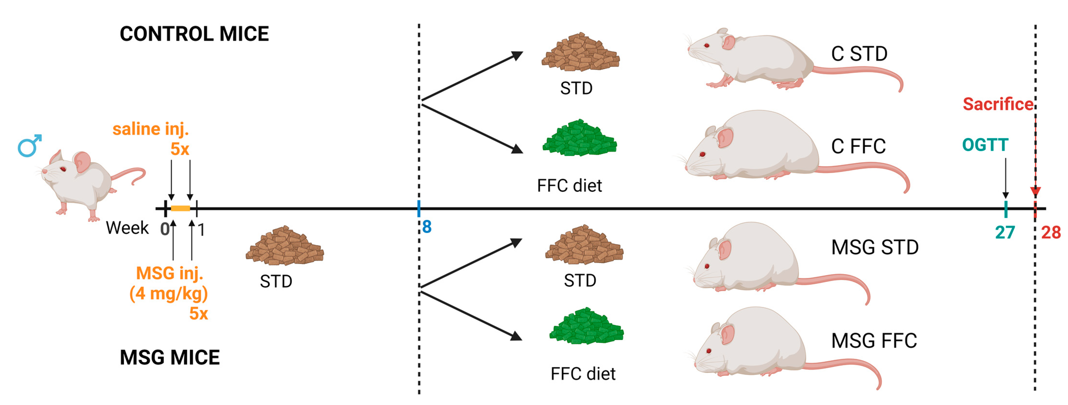 Antioxidants 13 01371 g001