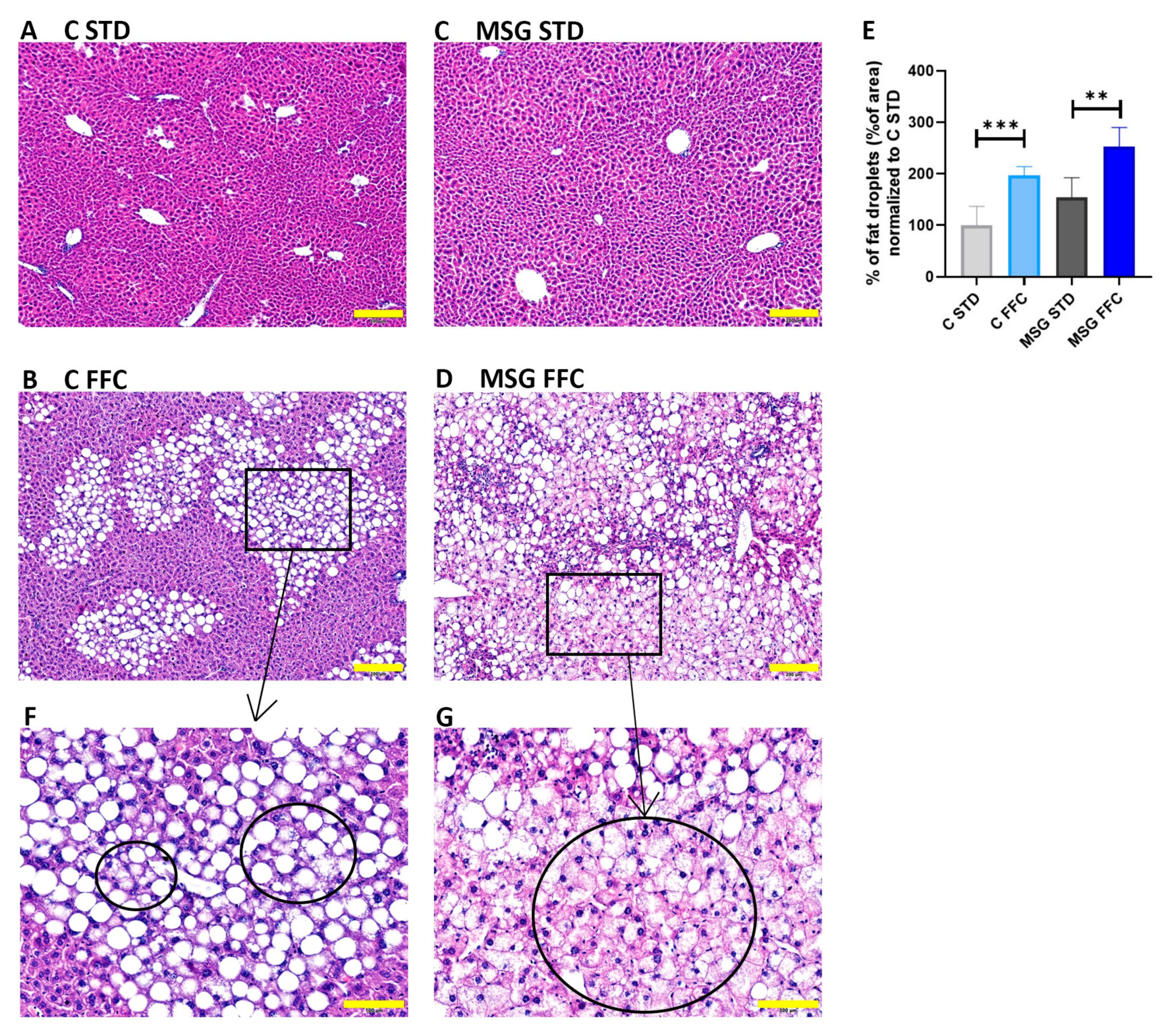 Antioxidants 13 01371 g003