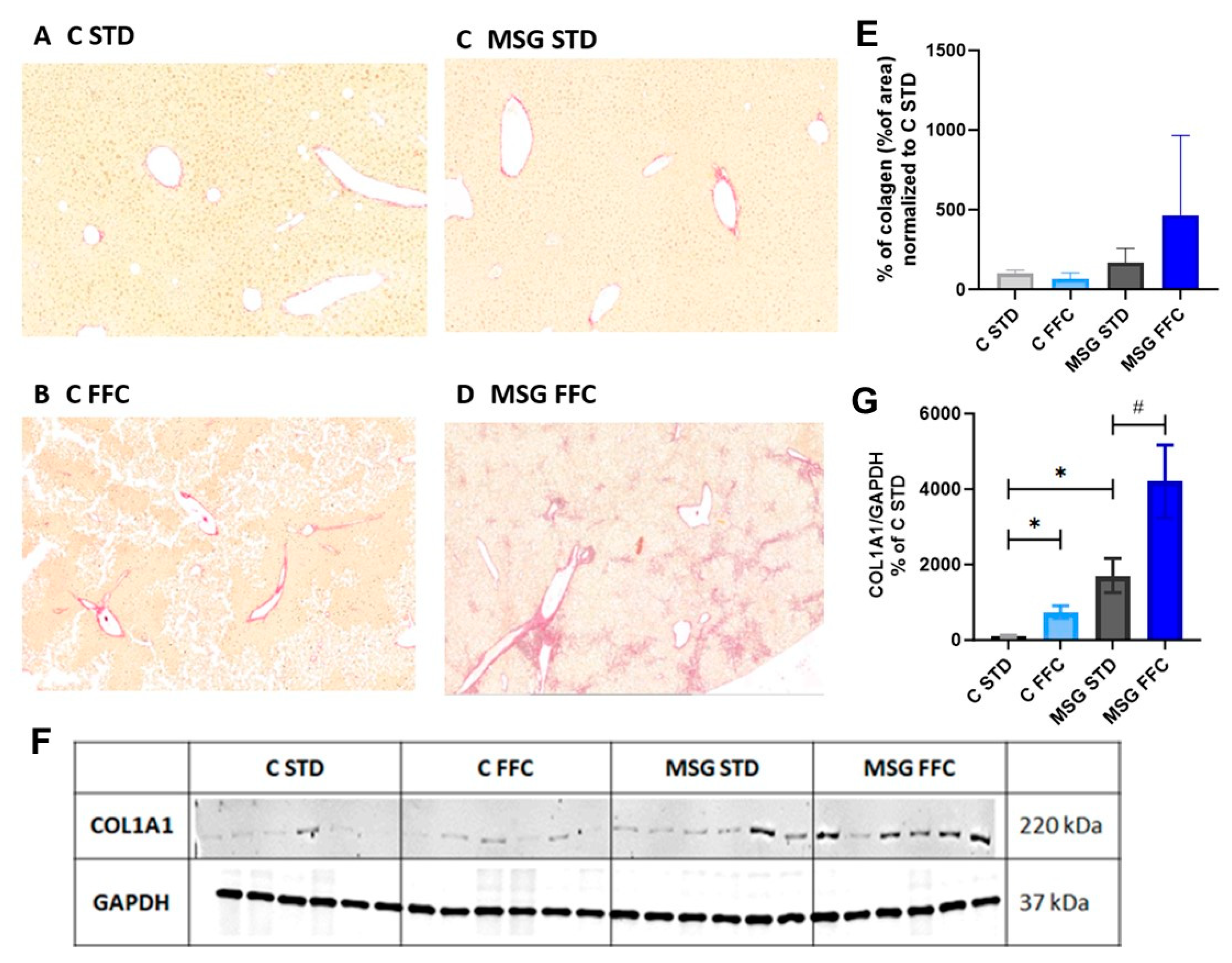Antioxidants 13 01371 g004