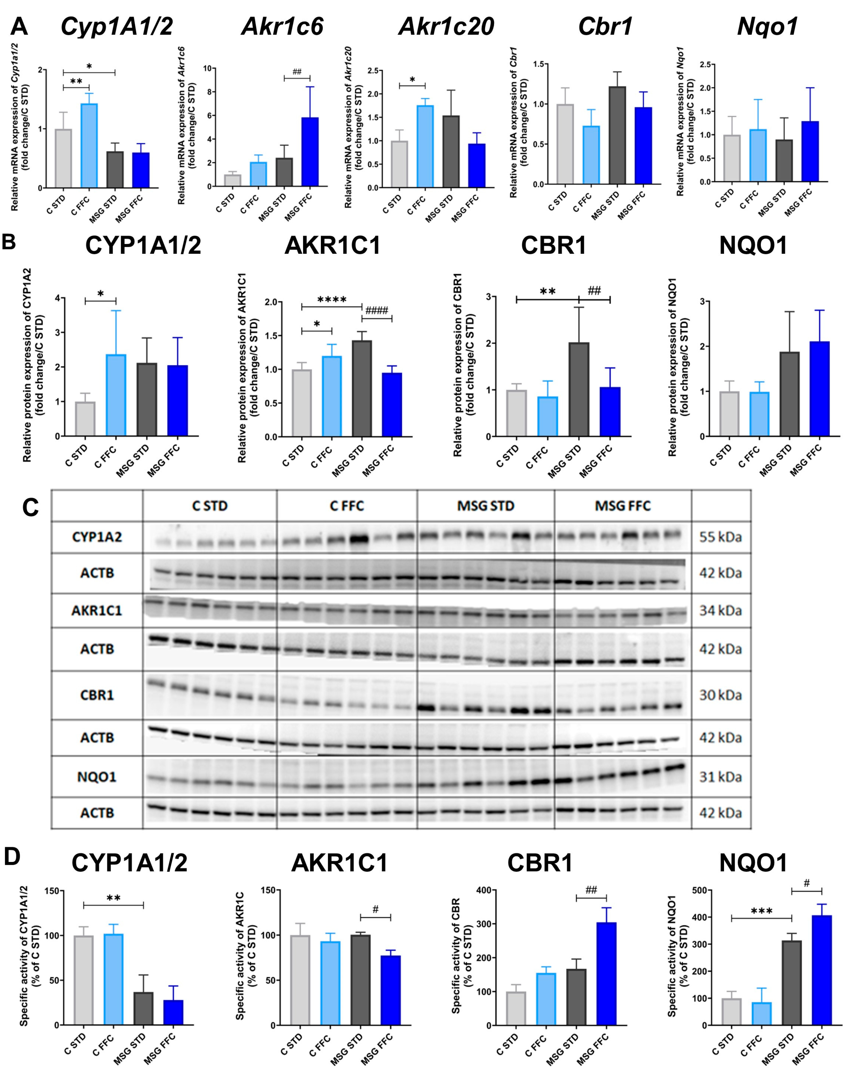 Antioxidants 13 01371 g007