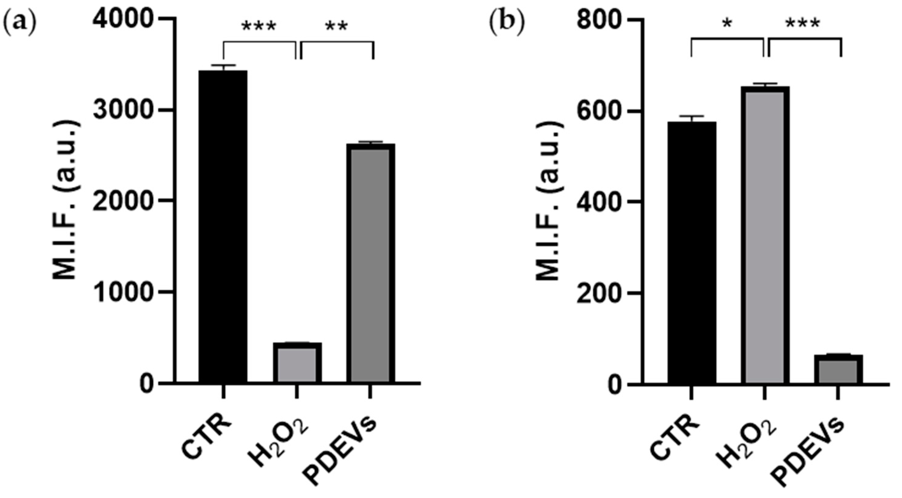 Antioxidants 13 01373 g004