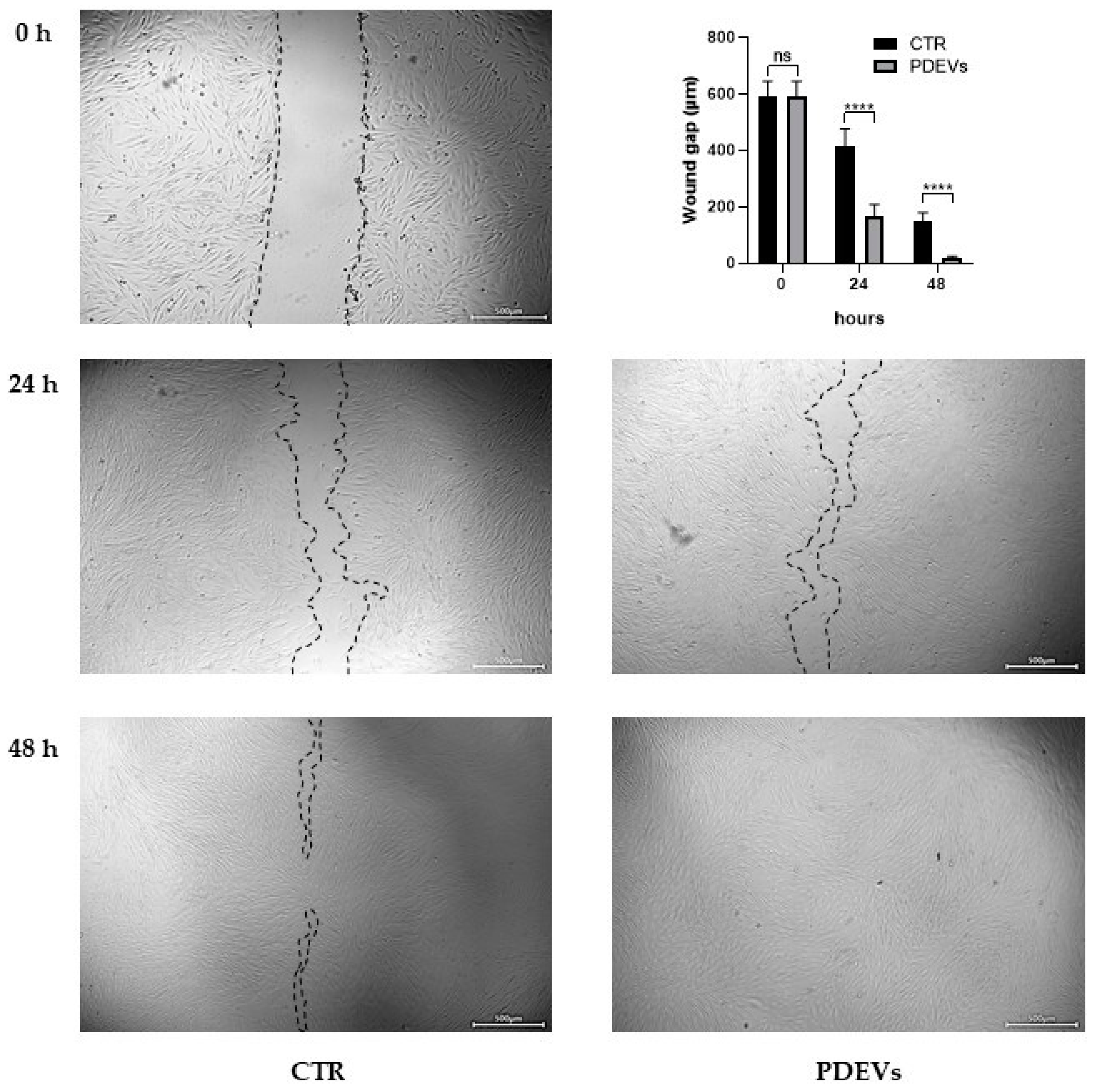 Antioxidants 13 01373 g006