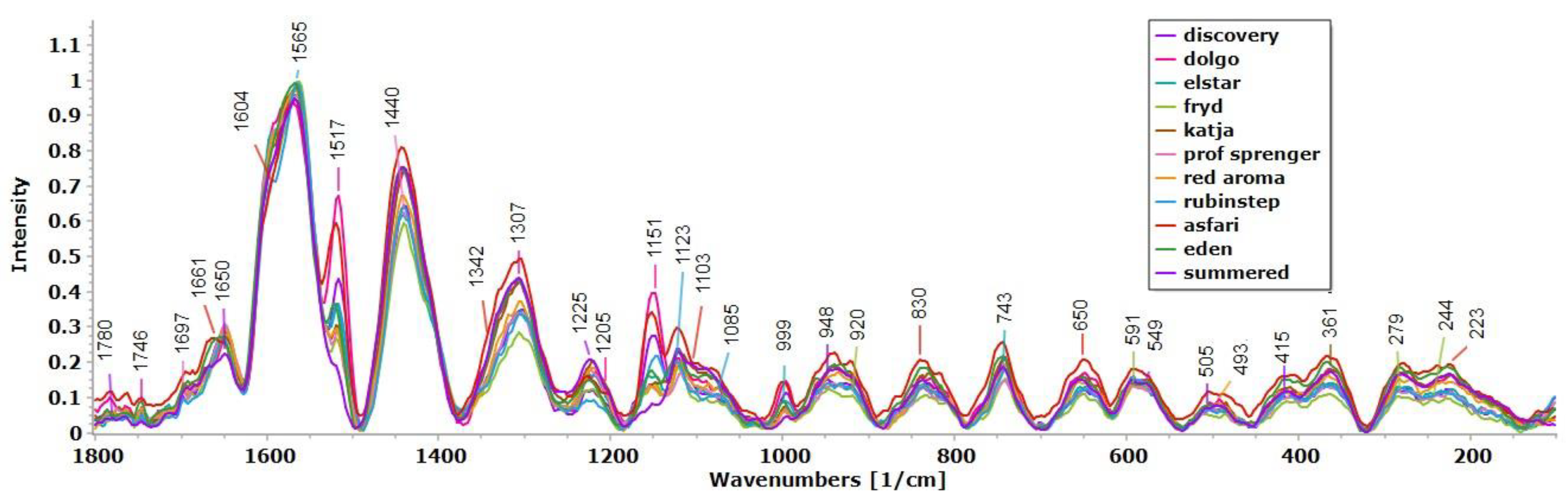 Antioxidants 13 01374 g004