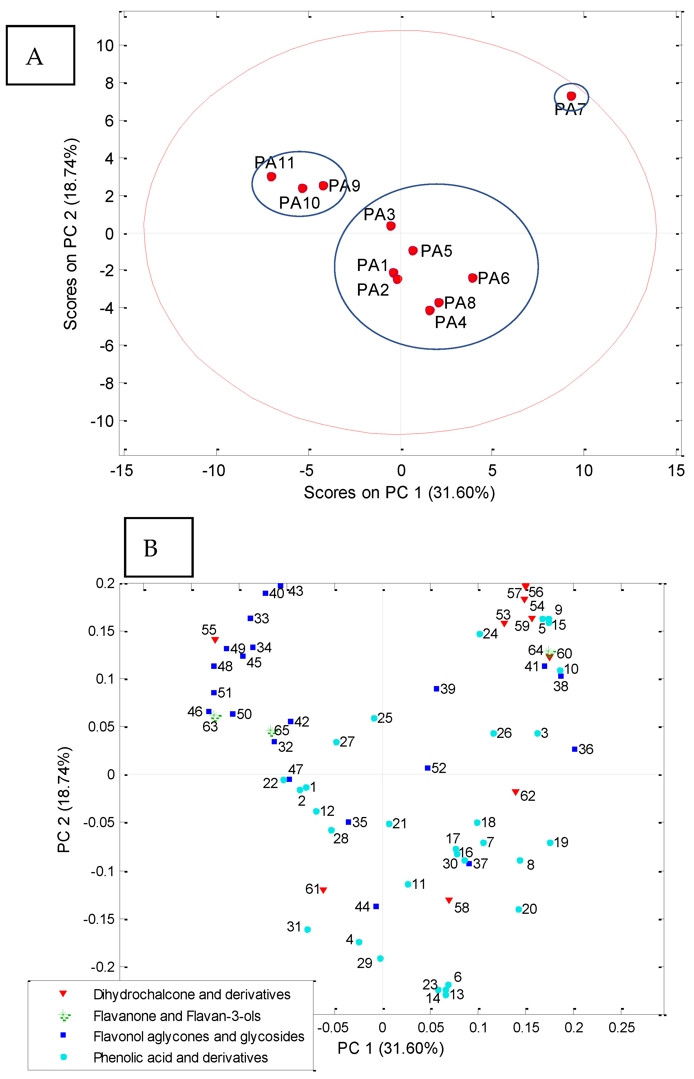 Antioxidants 13 01374 g005