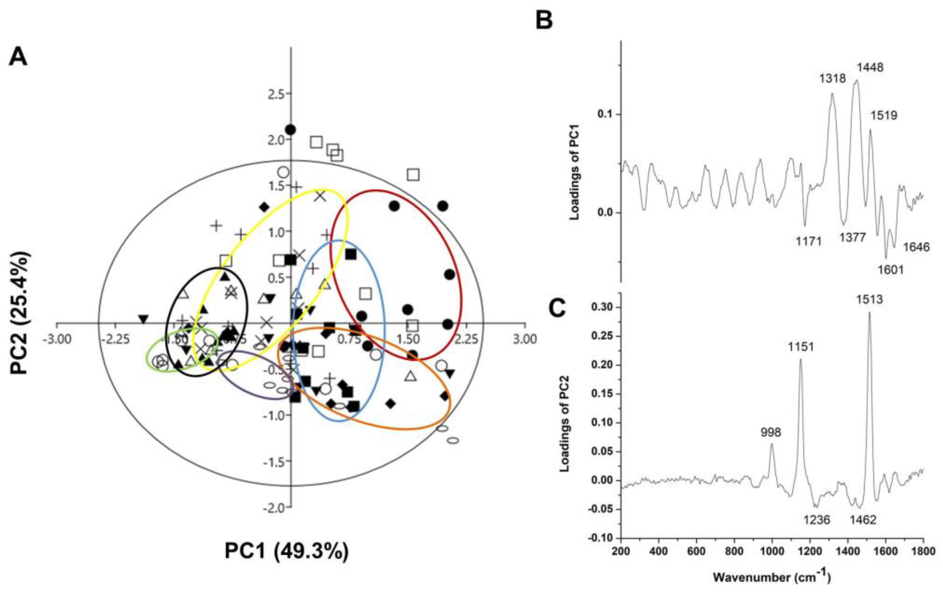 Antioxidants 13 01374 g006