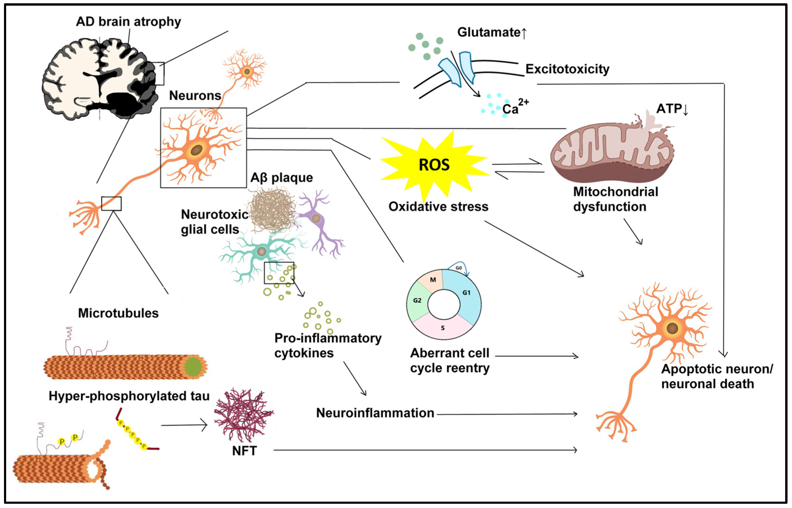 Antioxidants 13 01378 g001