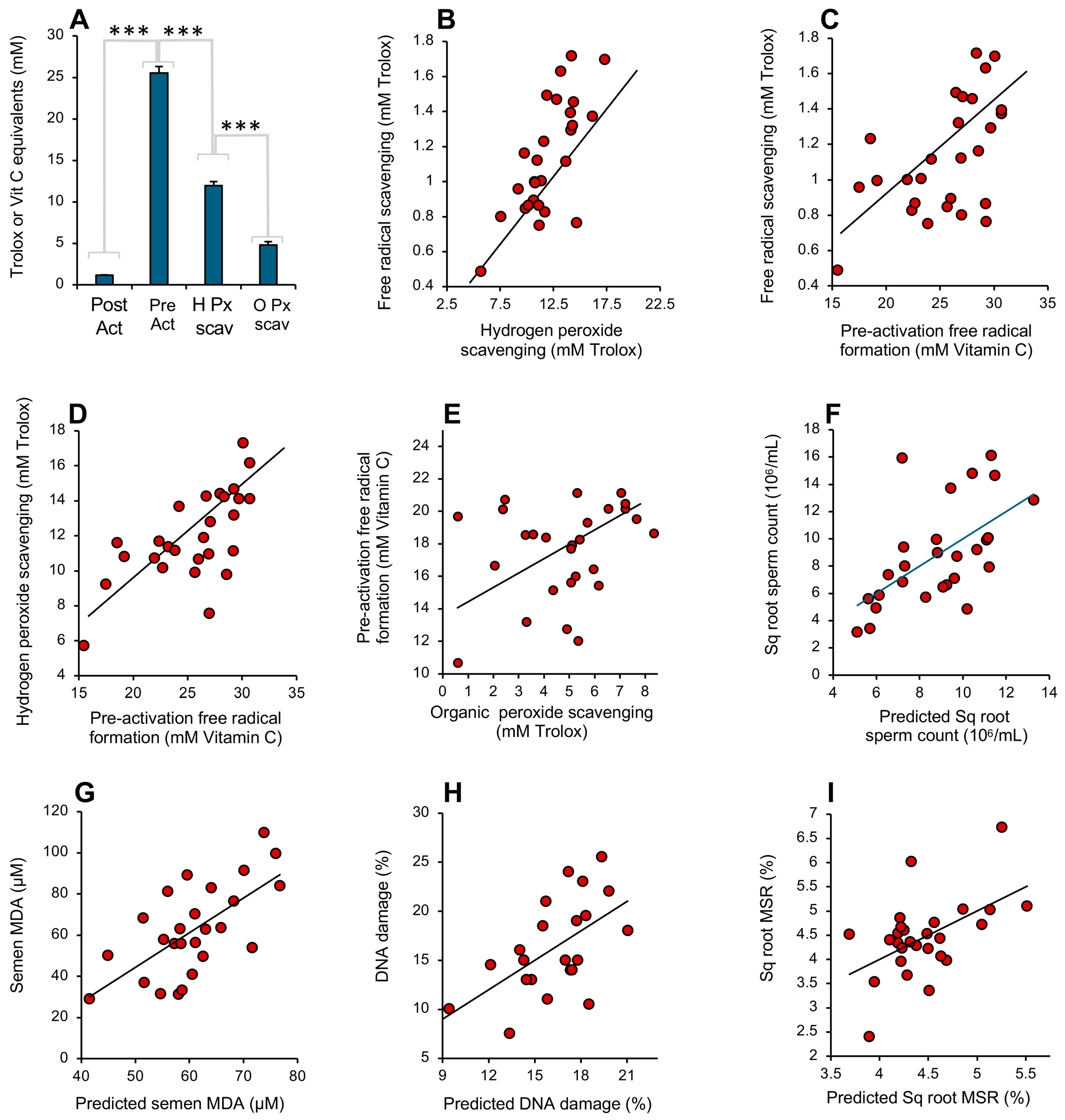 Antioxidants 13 01379 g010