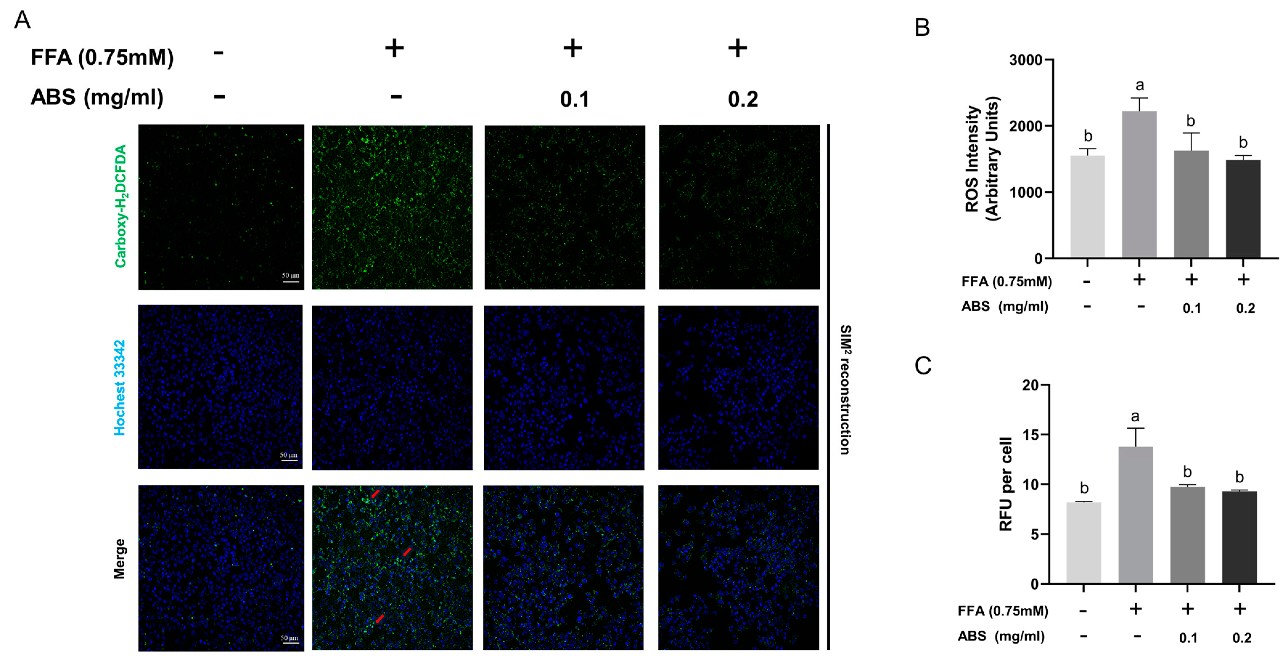 Antioxidants 13 01380 g008