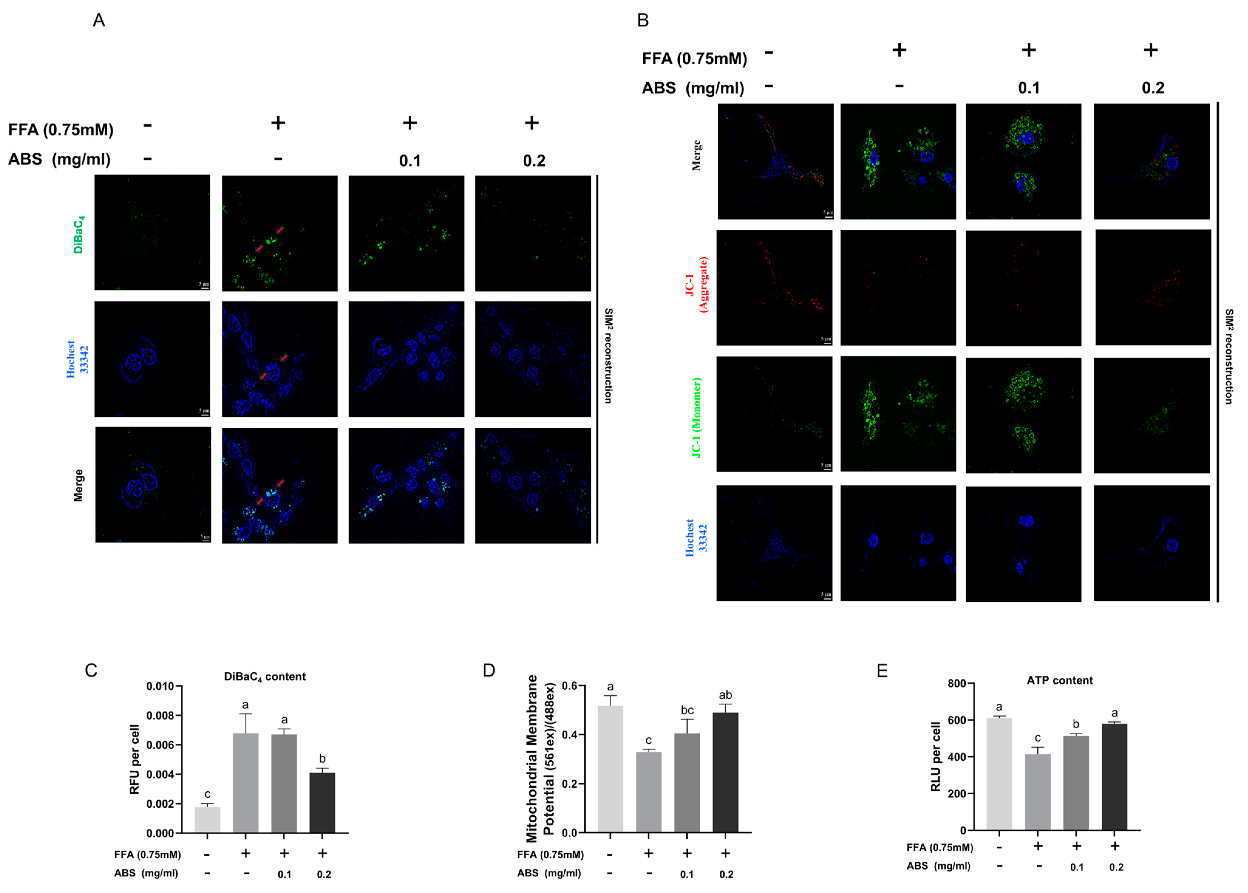 Antioxidants 13 01380 g009